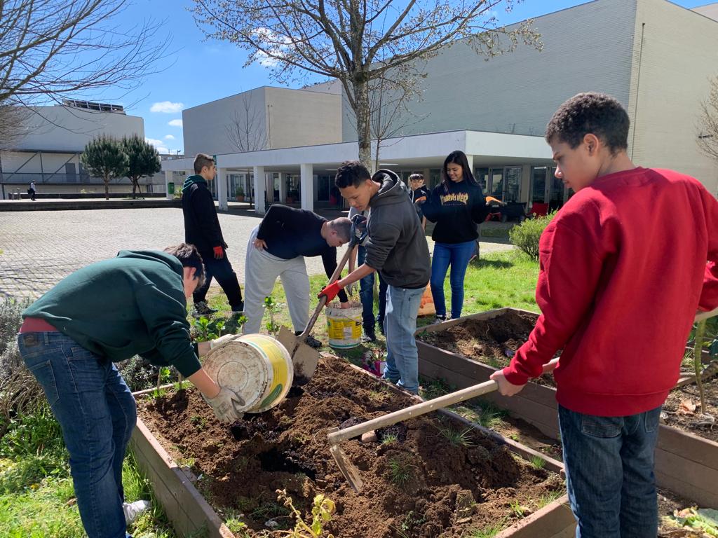 Turma 805, preparam o canteiro para a plantação das plantas companheiras" como: beterraba/couve e bata/morangos. Os alunos fertilizaram o solo como composto produzido pelos restos orgânicos da cantina (balde).