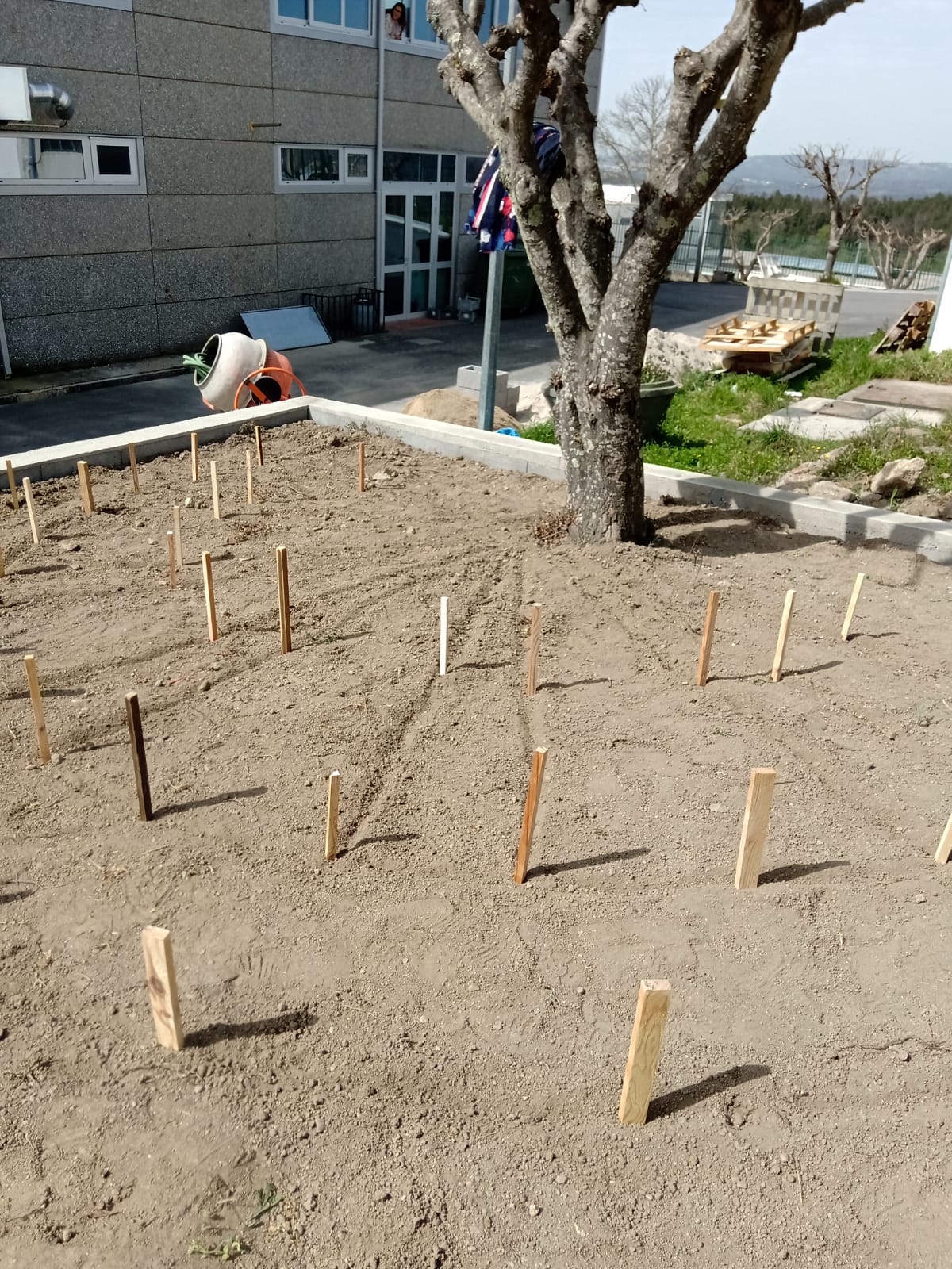 De acordo com a planta, procedeu-se à delimitação dos espaços da horta, com estacas, definindo as zonas de cultivo e os passadiços.