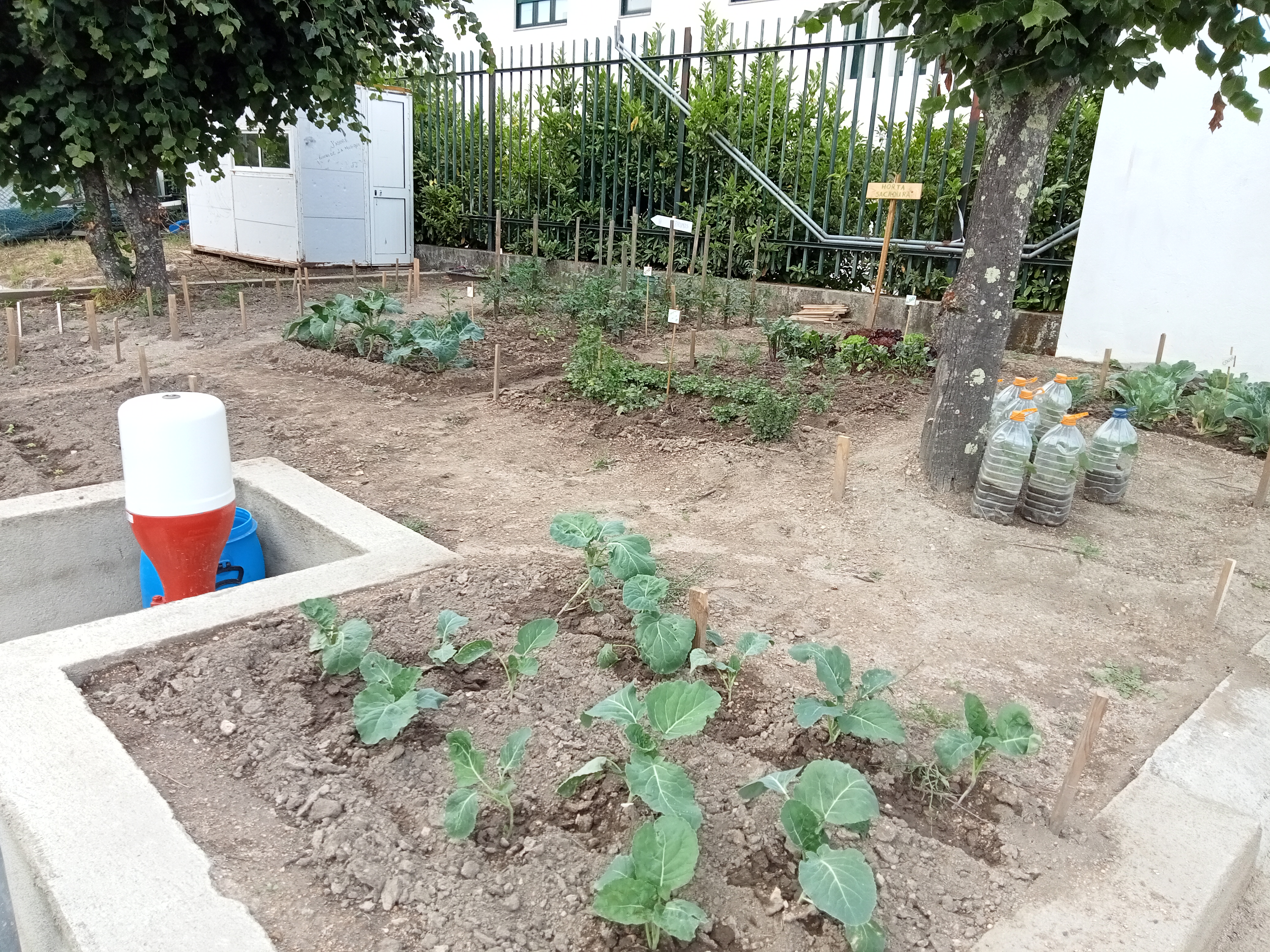 Vista Geral da Horta Sacadura Cabral com as plantas identificadas e a casa de arrumos.