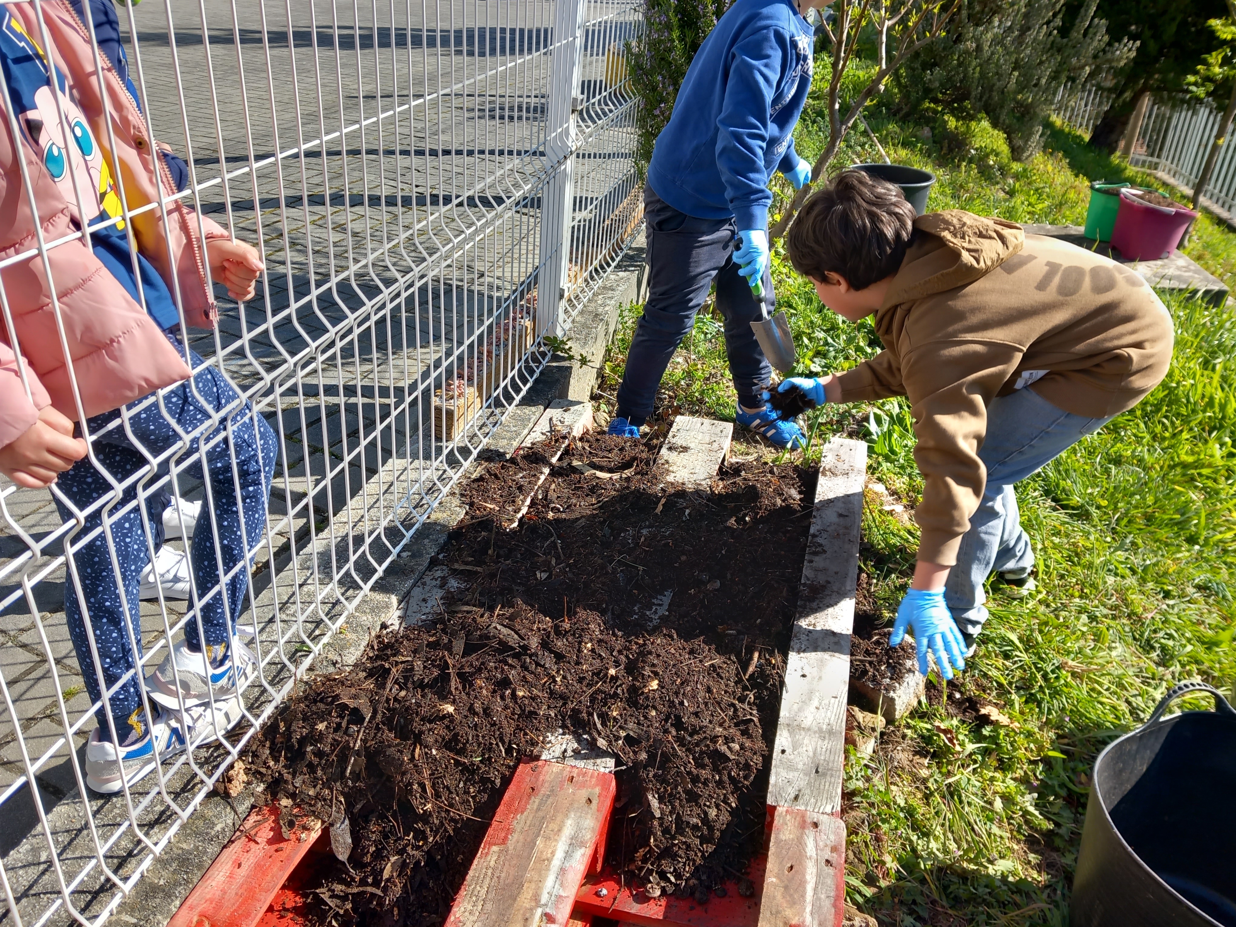 Início da construção da horta biológica: as paletes de madeira enchem-se de terra com composto orgânico.