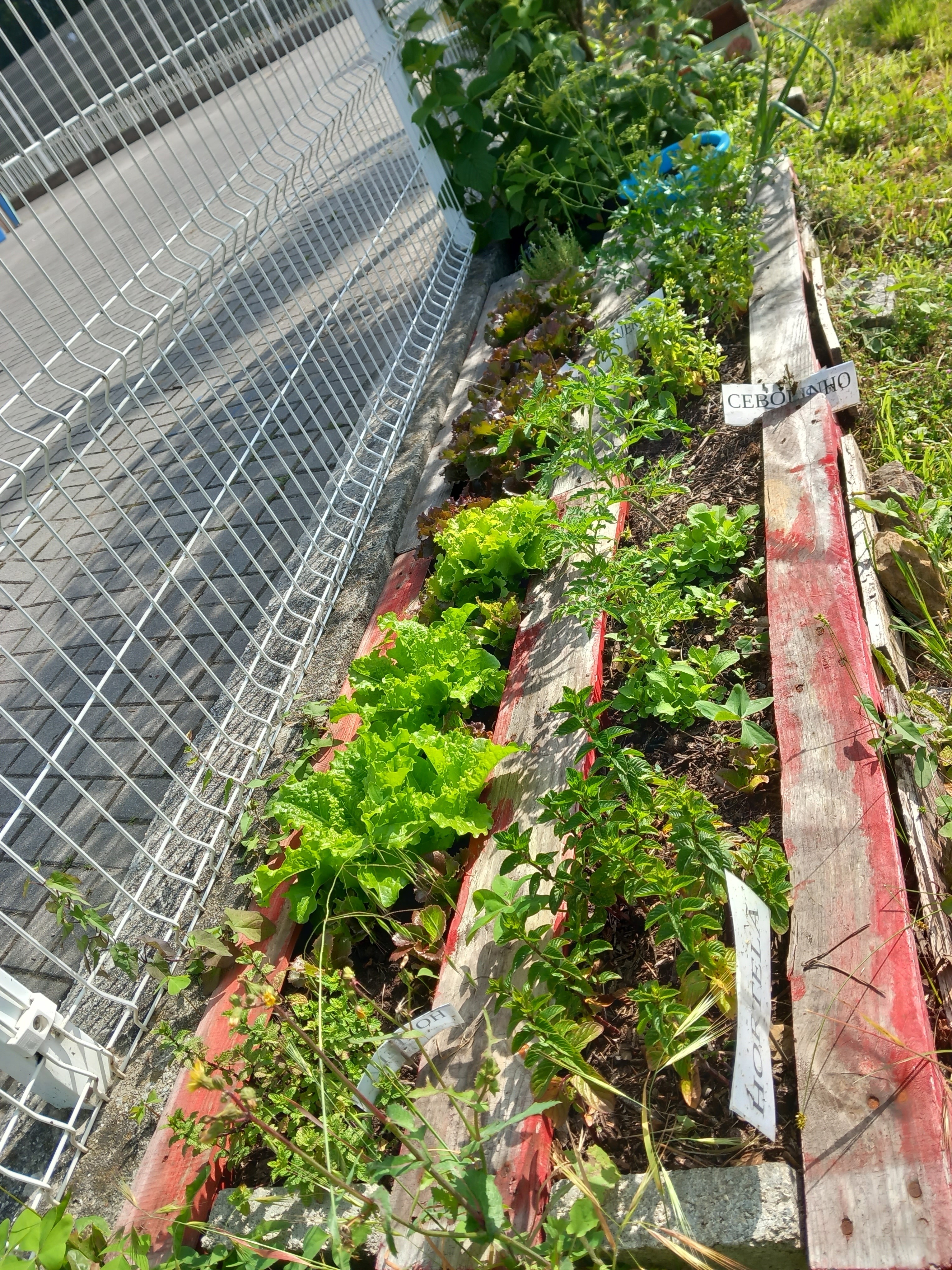 Horta com produtos biológicos.