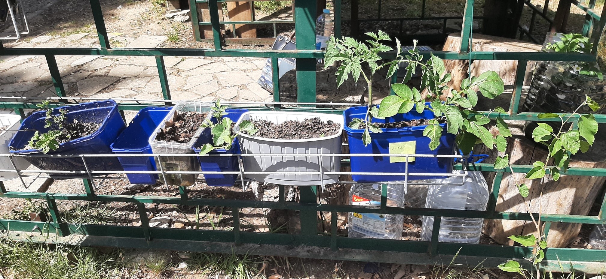 Horta suspensa