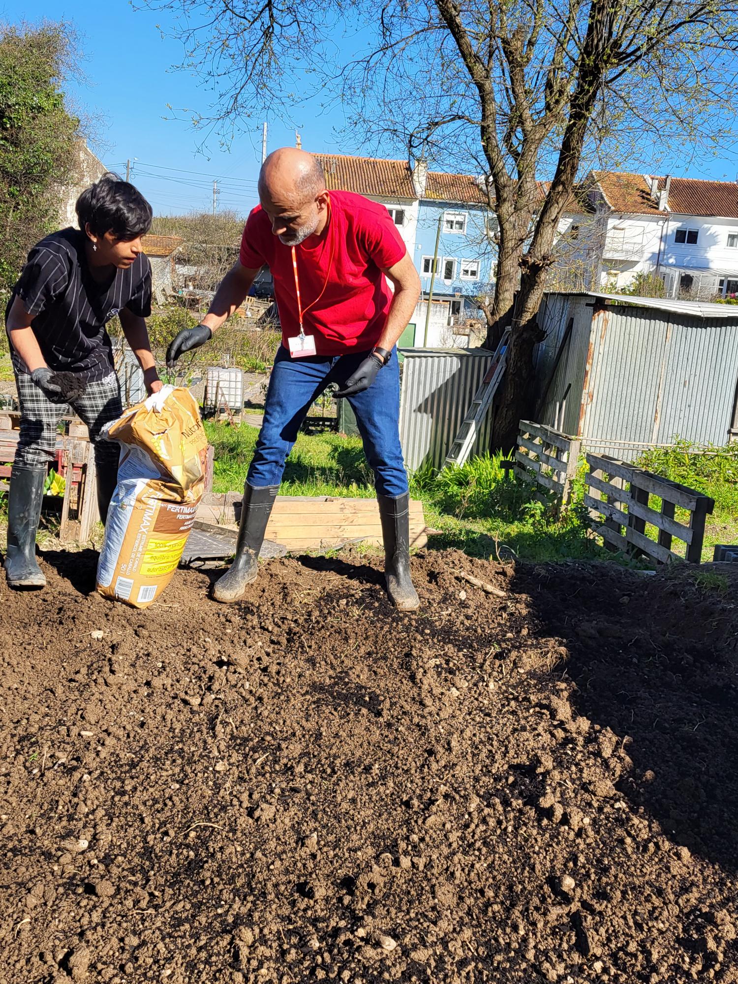 Utilização do estrume de cavalo como fertilizante da terra.