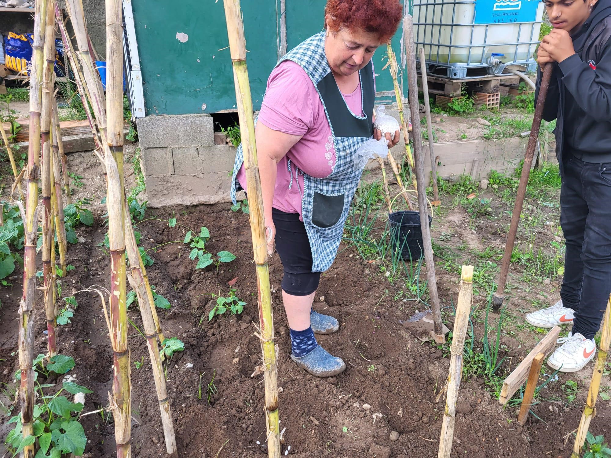 As canas de bambu foram fornecidas por uma Encarregada de Educação, a D. Fernanda, que se encontra nesta foto. As canas em destaque foram retiradas do canavial da horta comunitária. A D, Fernanda auxiliou na plantação de feijões, tomates, pepinos, etc.