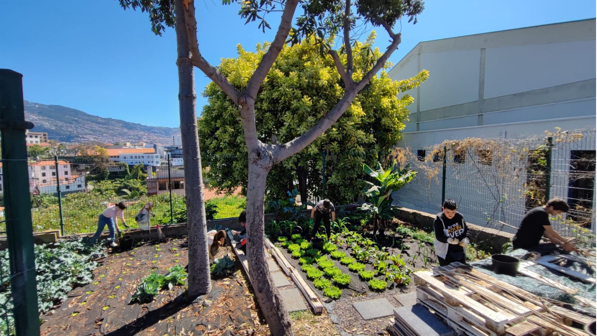 Panorâmica da Biohorta.