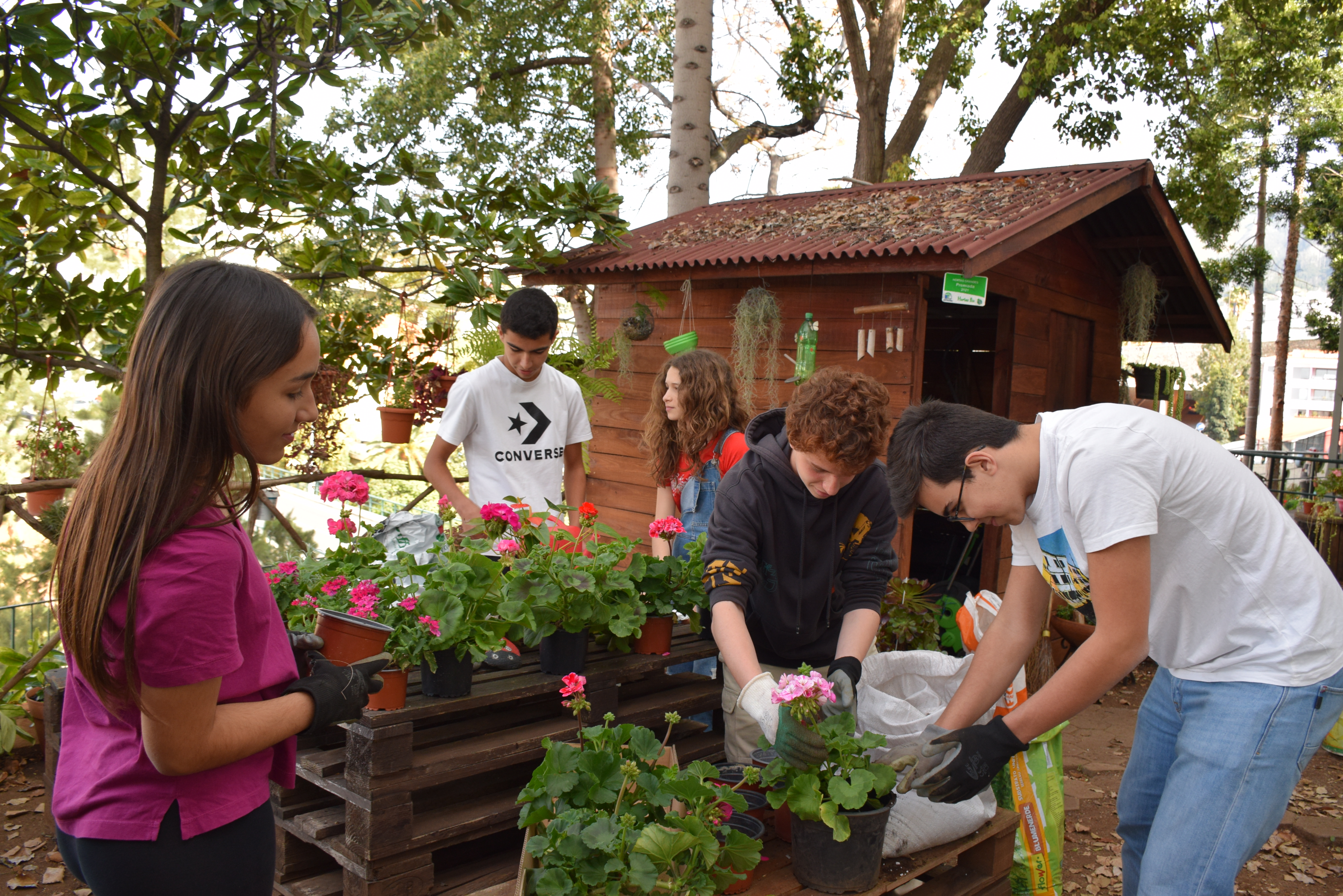 Os alunos gostam de ajudar nas plantações.