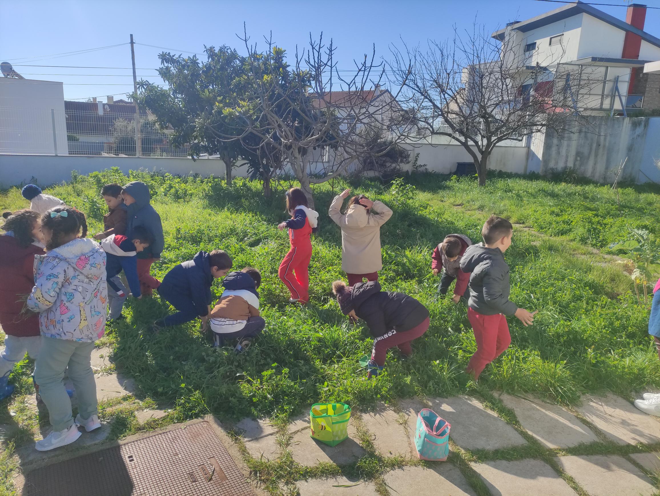 A explorar o espaço da horta. Descobrimos muitas plantas e bichinhos.