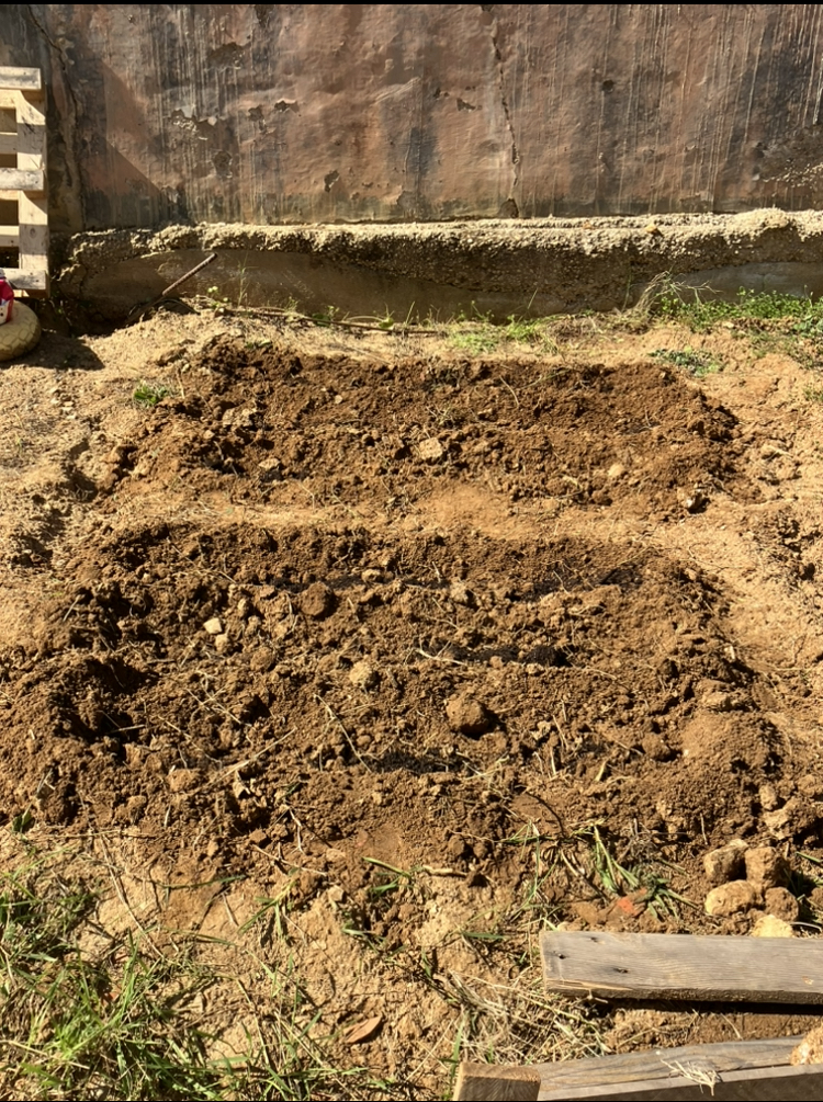 Terreno pronto para cultivo