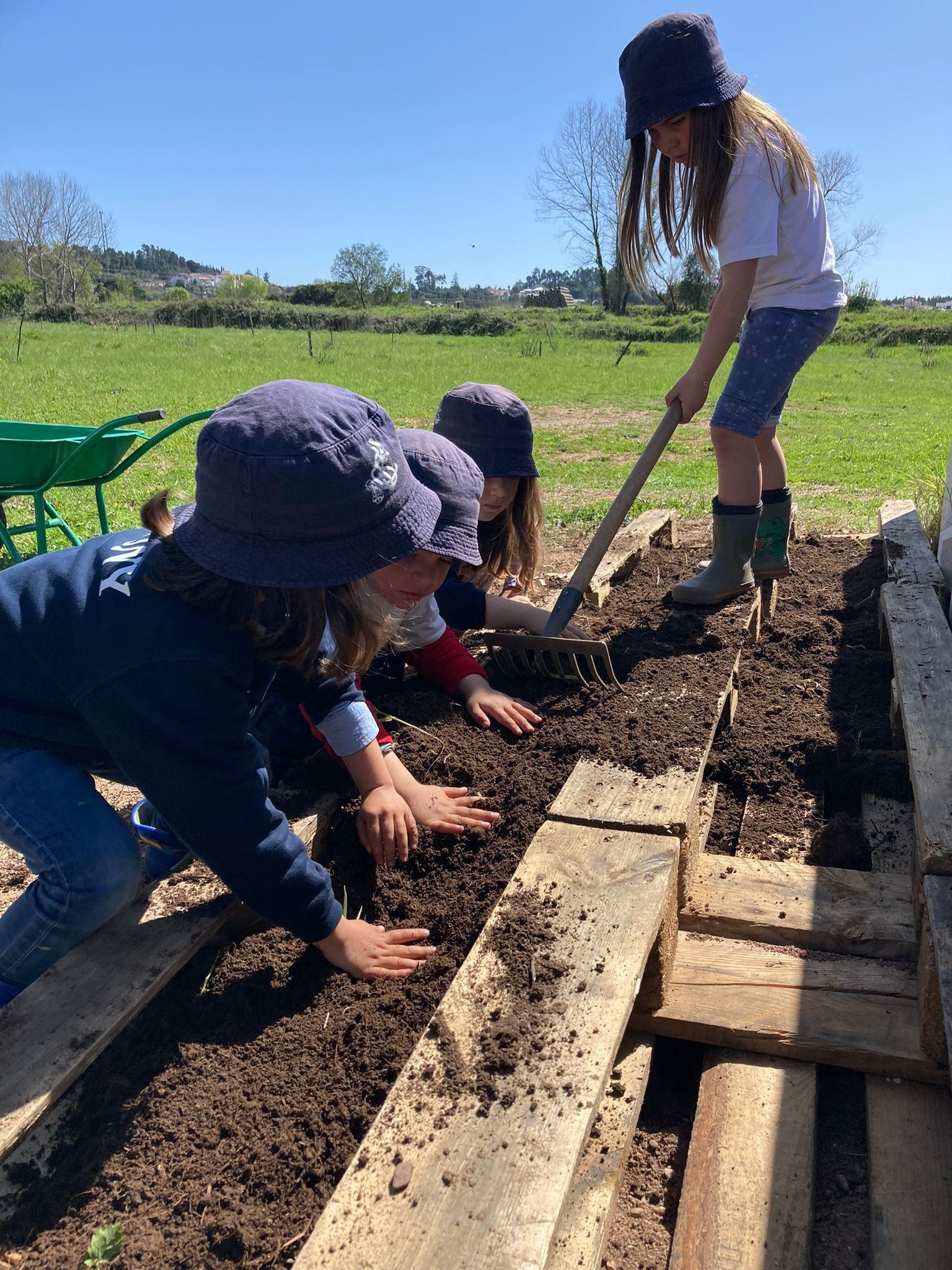 Preparação do terreno em paletes para a plantação.