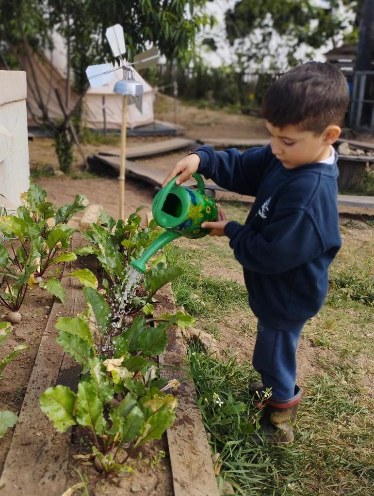 Rega e cuidado das plantações.