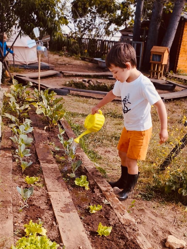 Rega e cuidado das plantações.