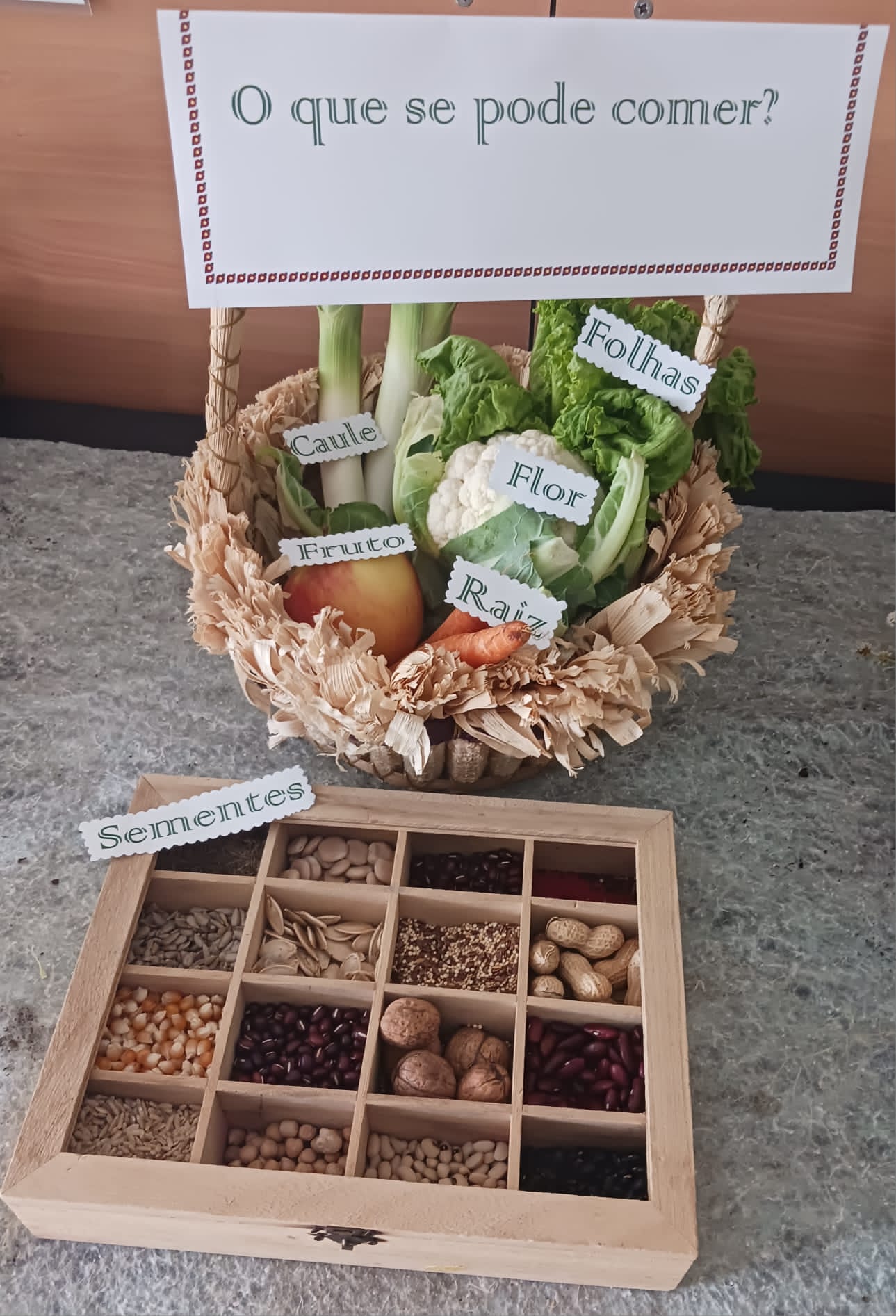 Atividade em grande grupo, sobre as plantas comestíveis, explorando as diferentes partes que se podem comer numa planta. Associar posteriormente às plantas que temos na nossa horta.