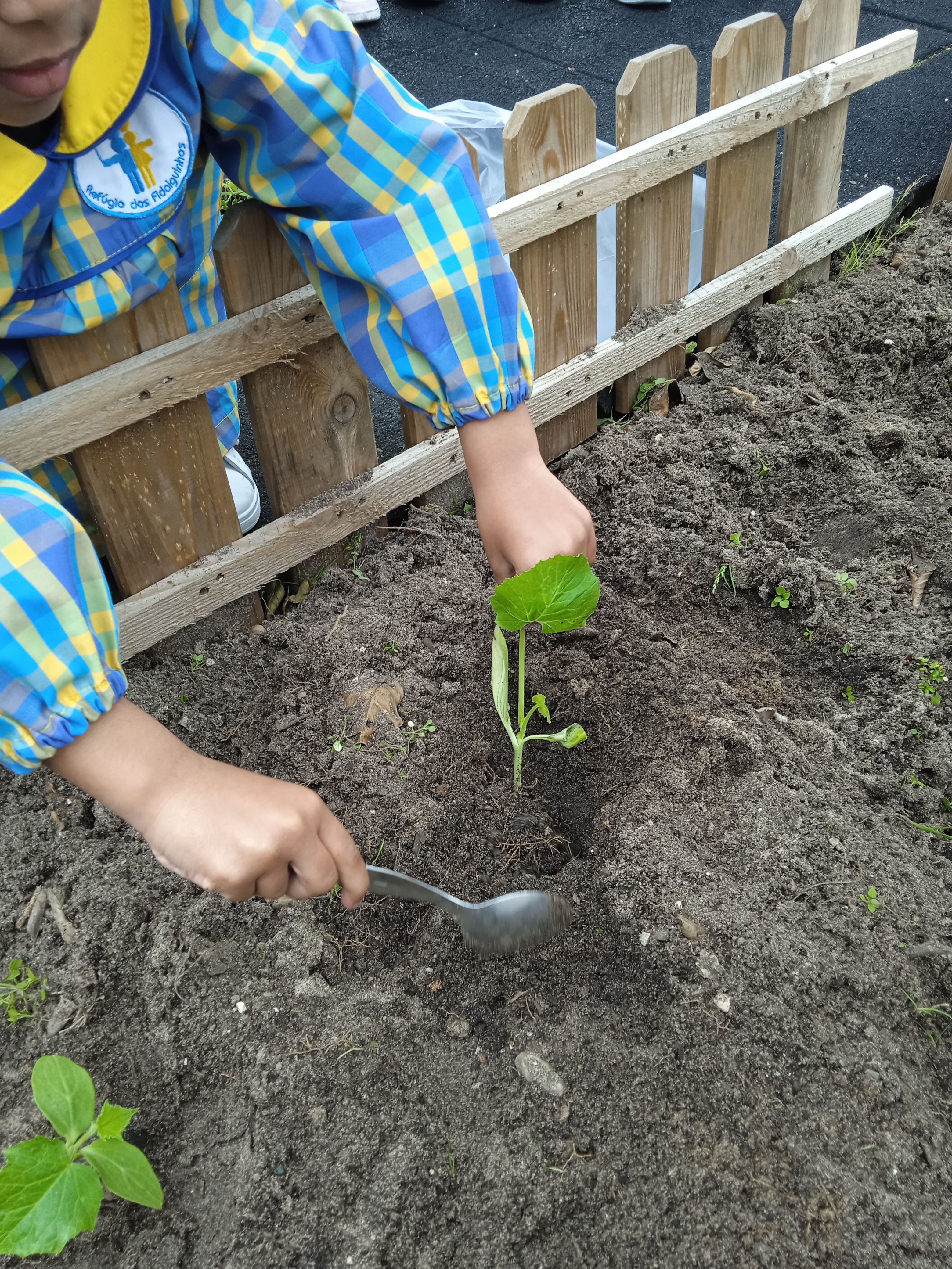 Hora de plantar