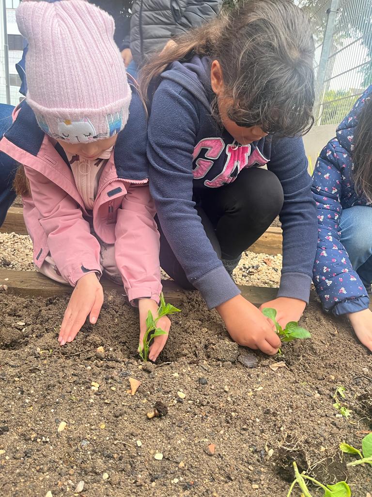 PLANTAÇÕES DE MARÇO