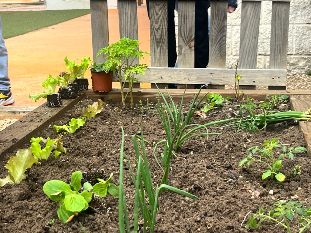 PLANTAÇÕES DE MARÇO