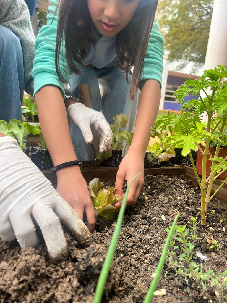 PLANTAÇÕES DE MARÇO