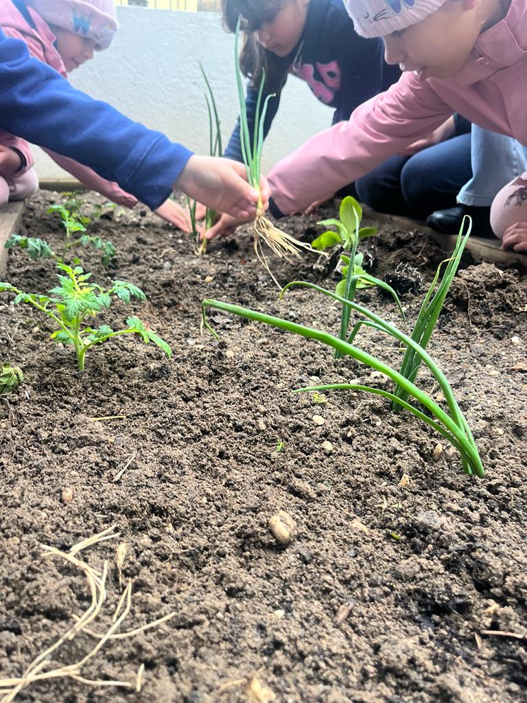 PLANTAÇÕES DE MARÇO