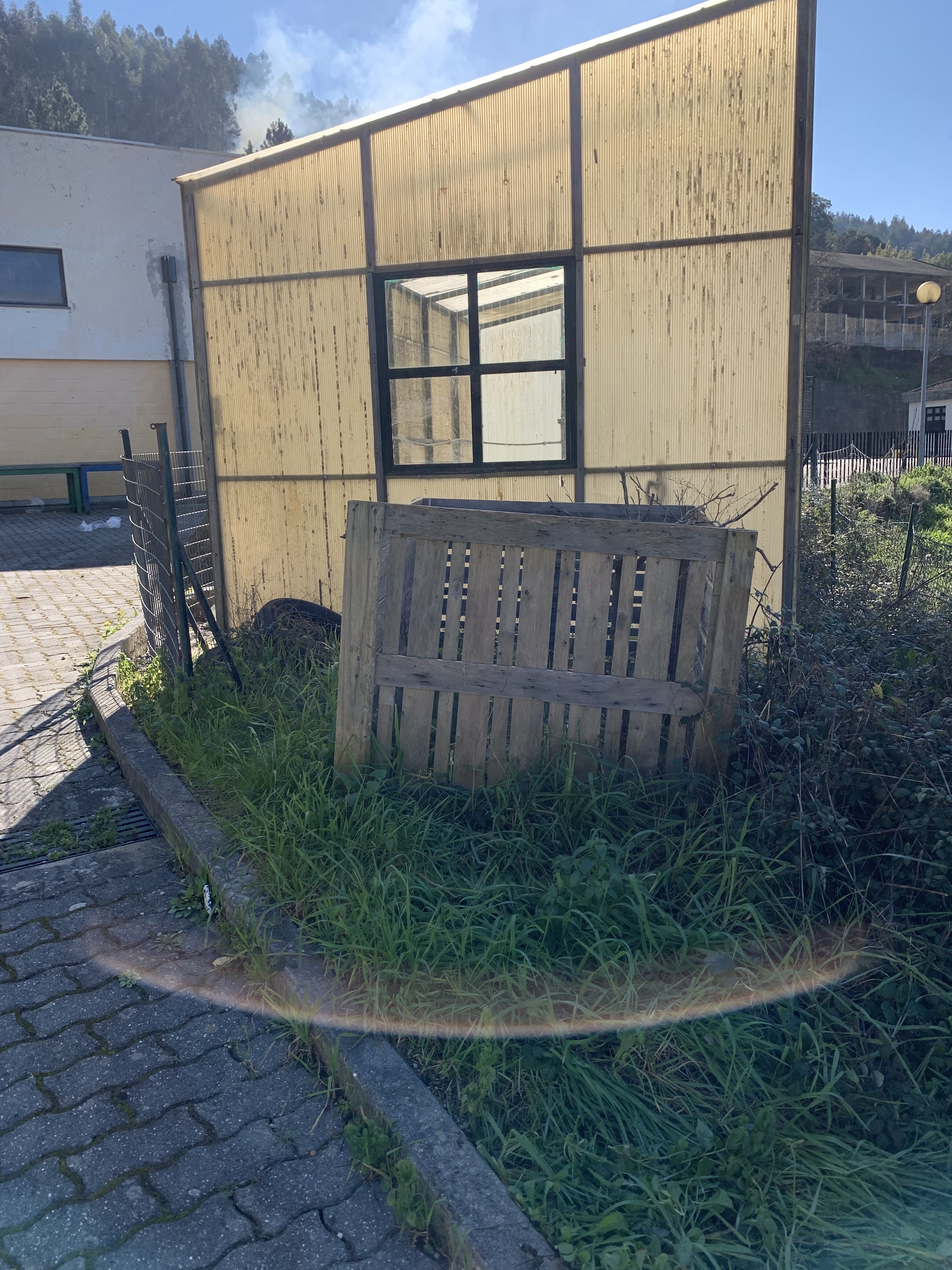 Zona com ervas na lateral da estufa, para plantar algumas espécies.