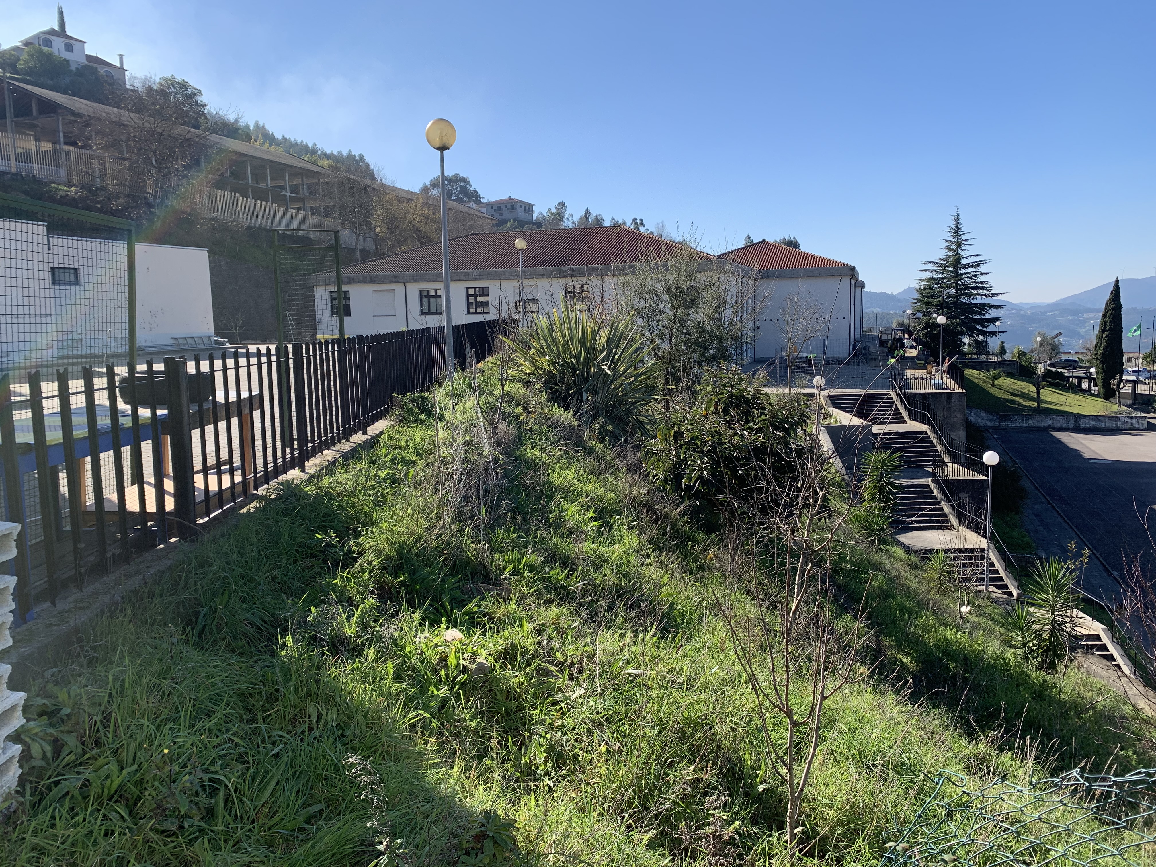 Zona envolvente da estufa.