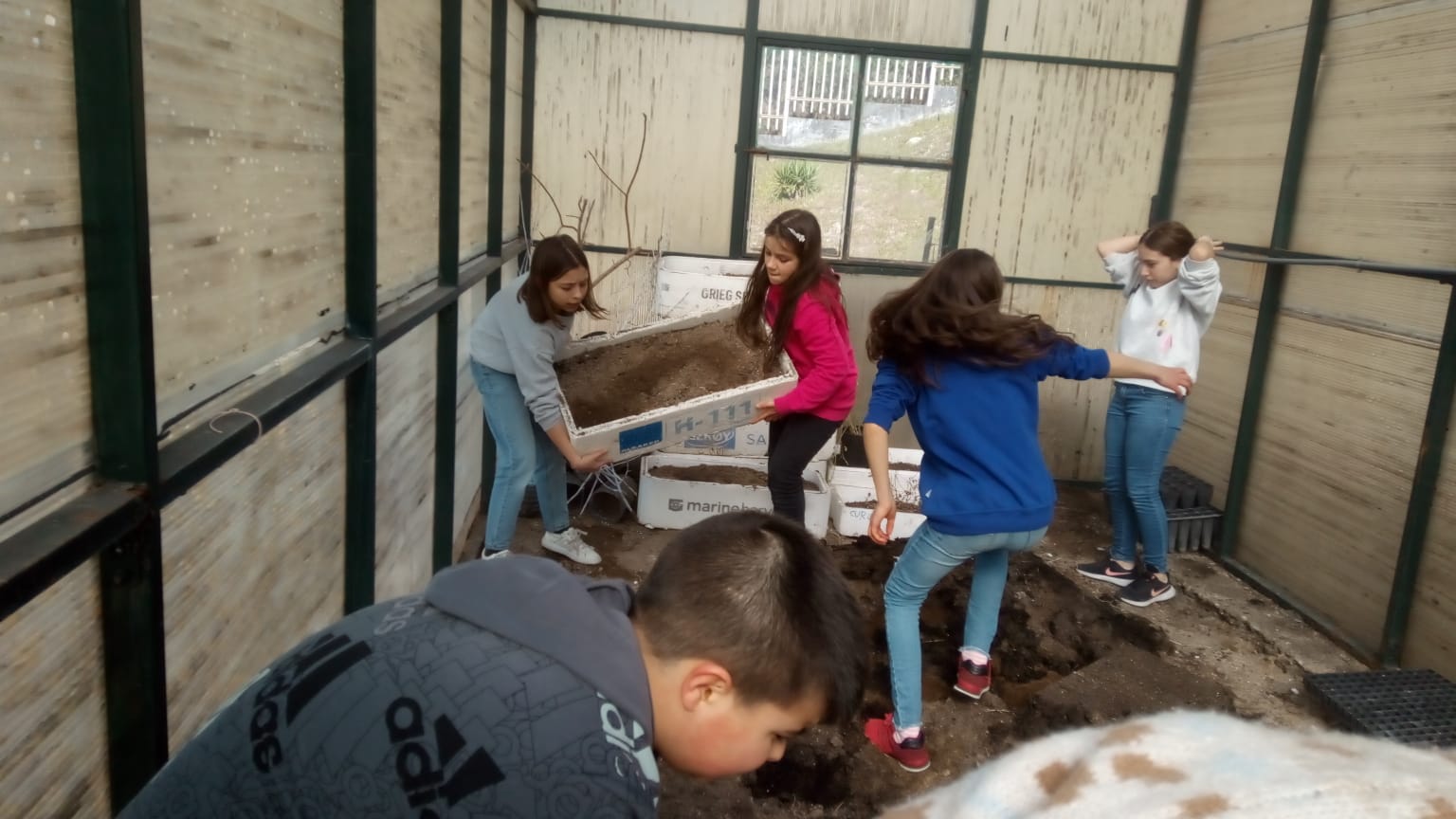 Alunos a prepararem o solo da horta bio, dentro da estufa, para cultivarem a seguir.