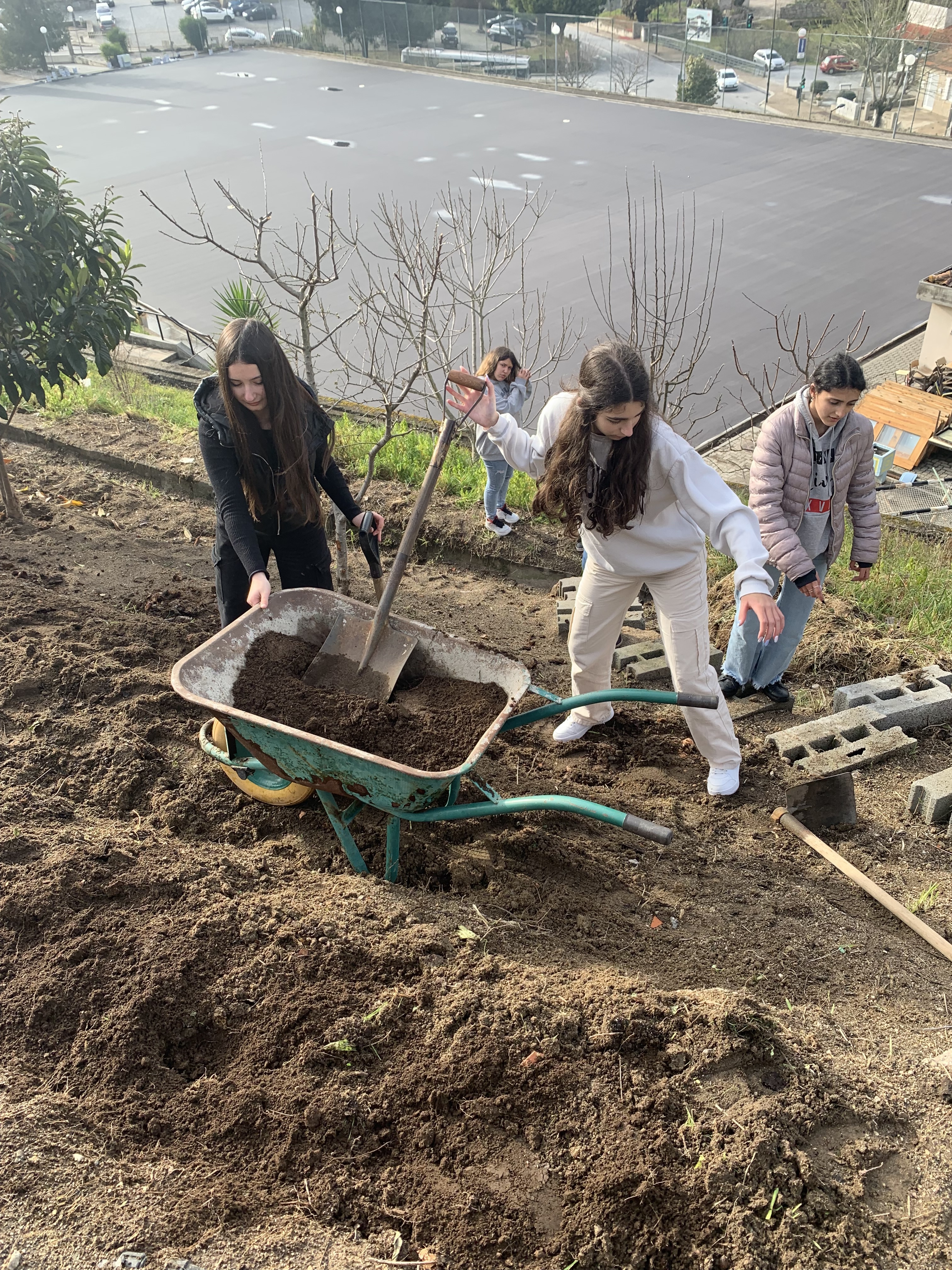 Alunos a transportarem terra, na zona exterior envolvente da estufa, para cultivarem :batata, espinafres, pepinos, courgette, abóbora e feijão.