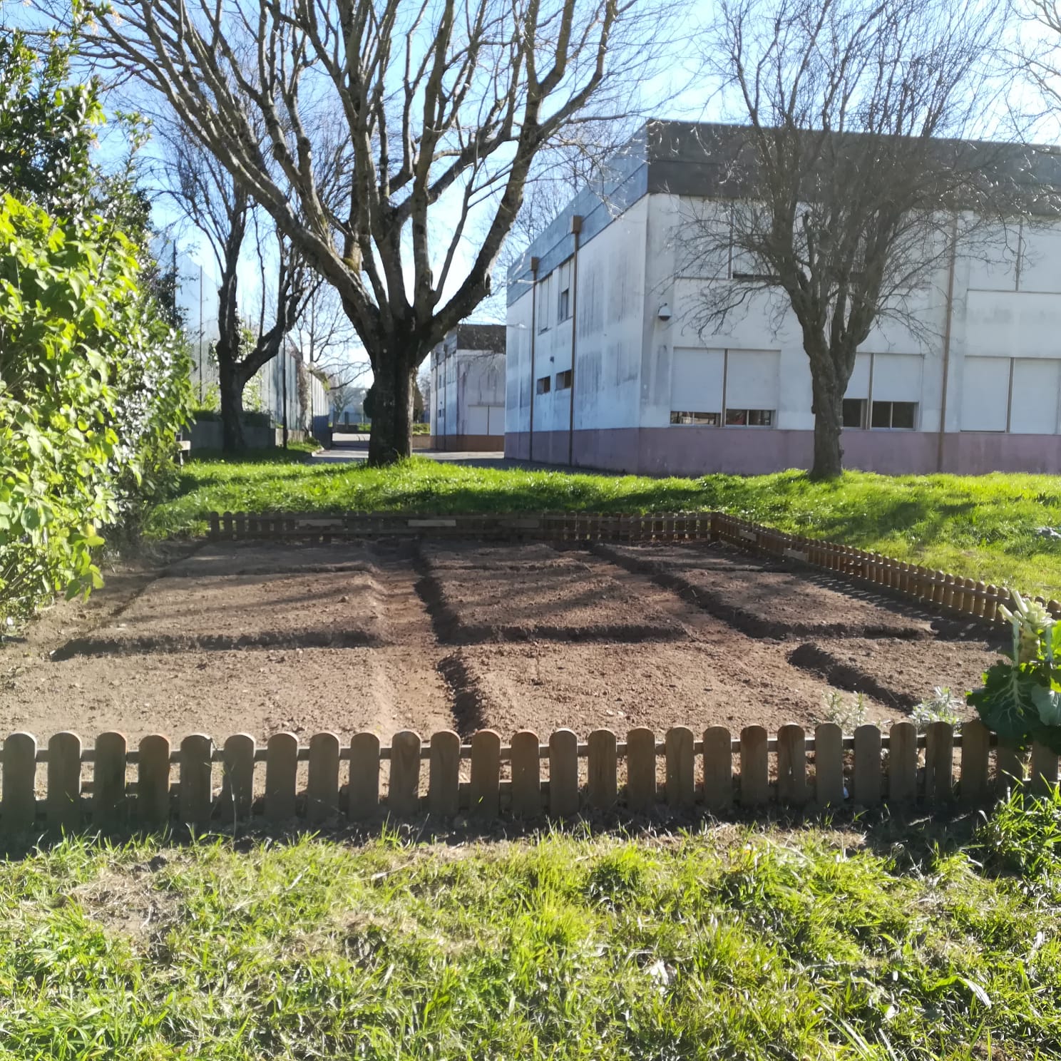 Horta BIO após a preparação do terreno (trabalho realizado por familiares de alunos) _ 2