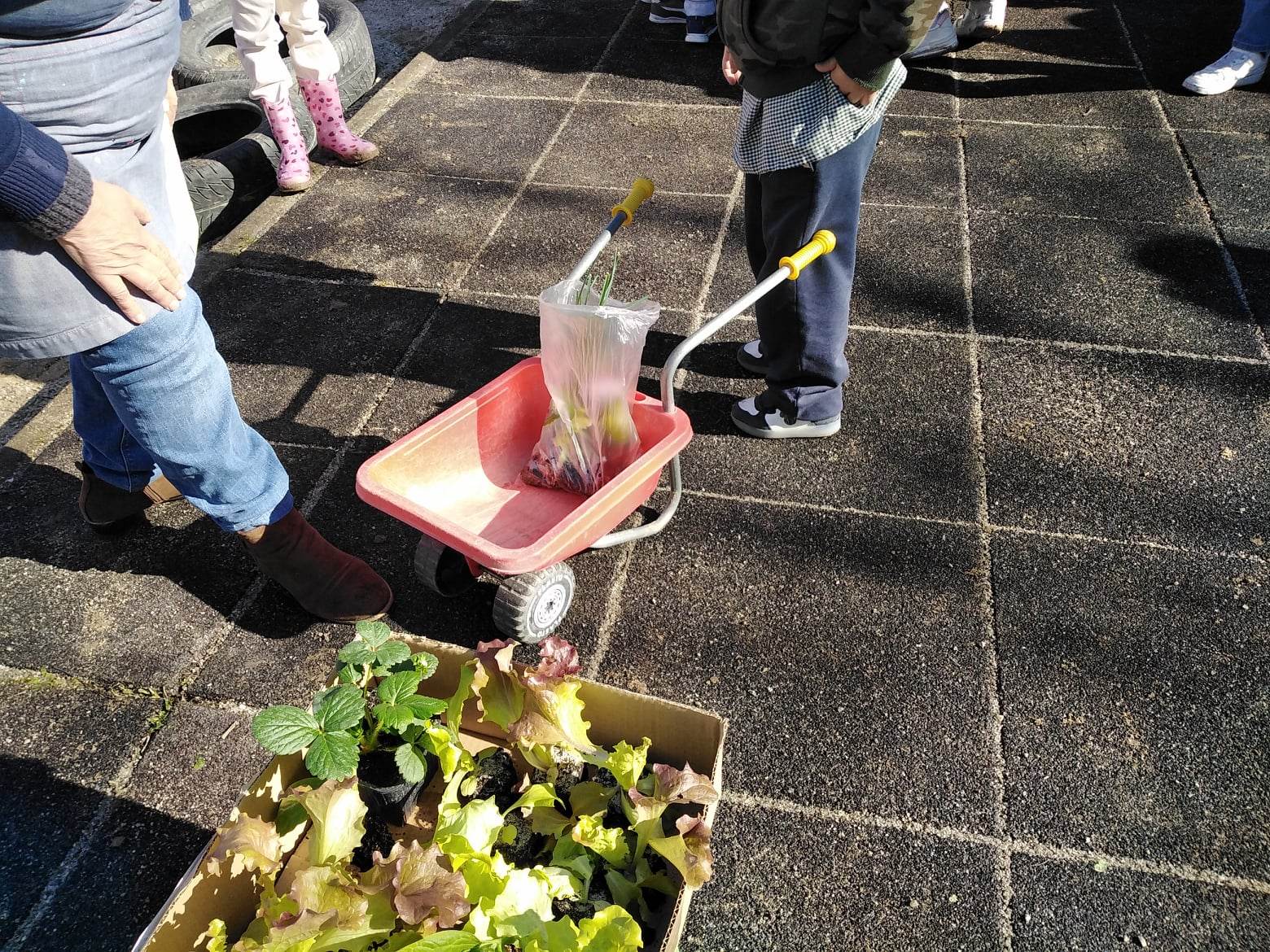 Dia de plantar