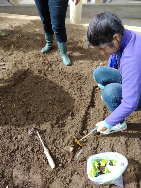 Preparação da terra