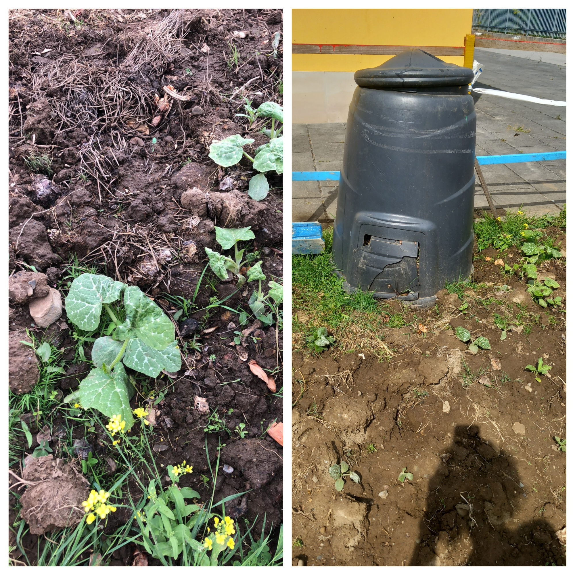 Produção biológica...compostagem....