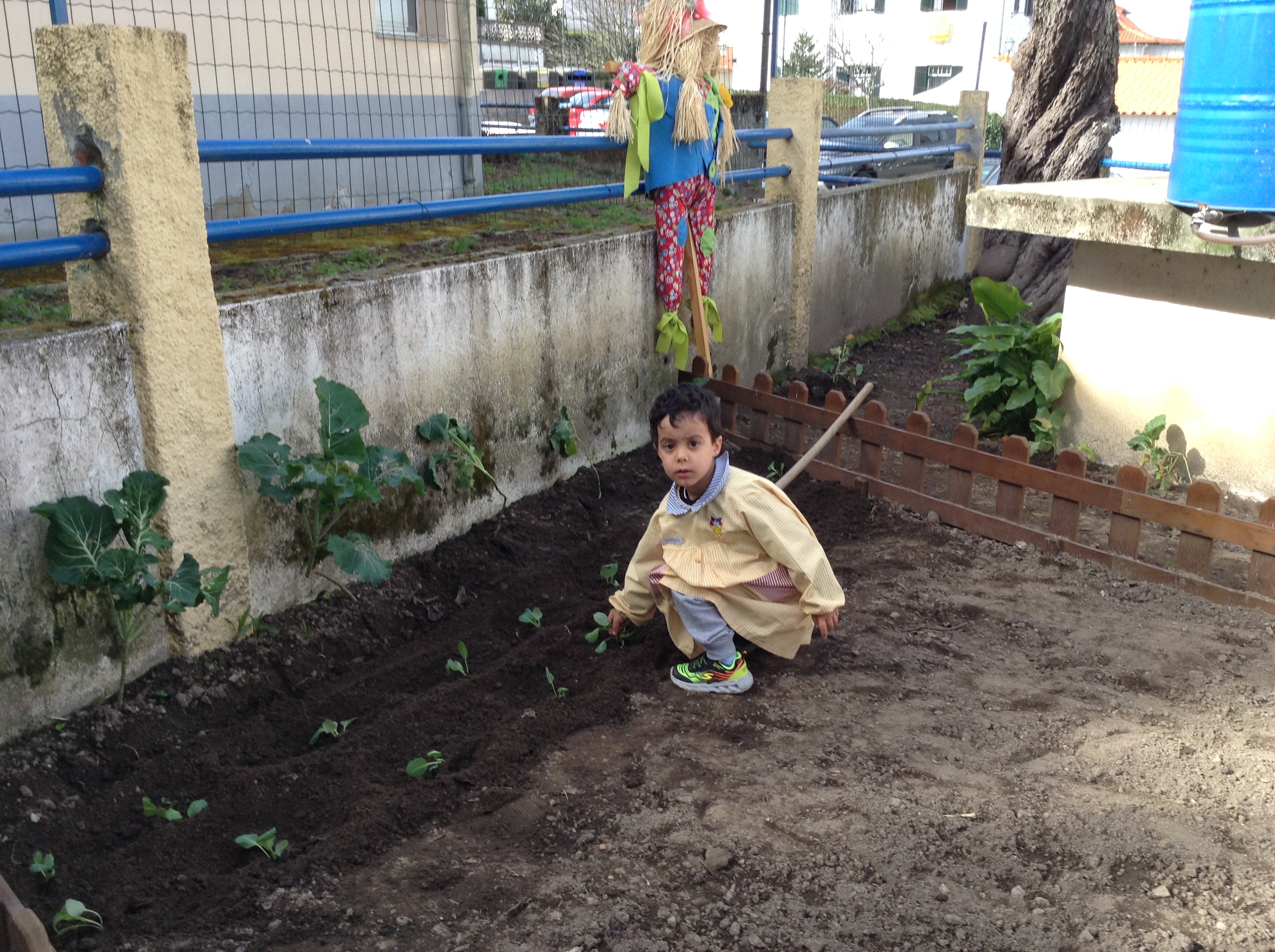 6- INICIAÇÃO À PLANTAÇÃO DAS NOVAS CULTURAS