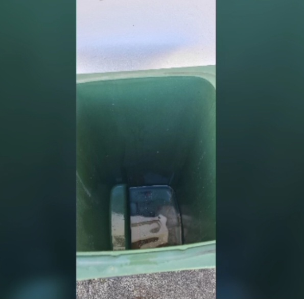 Aproveitamento das águas das chuvas para a rega da nossa horta.