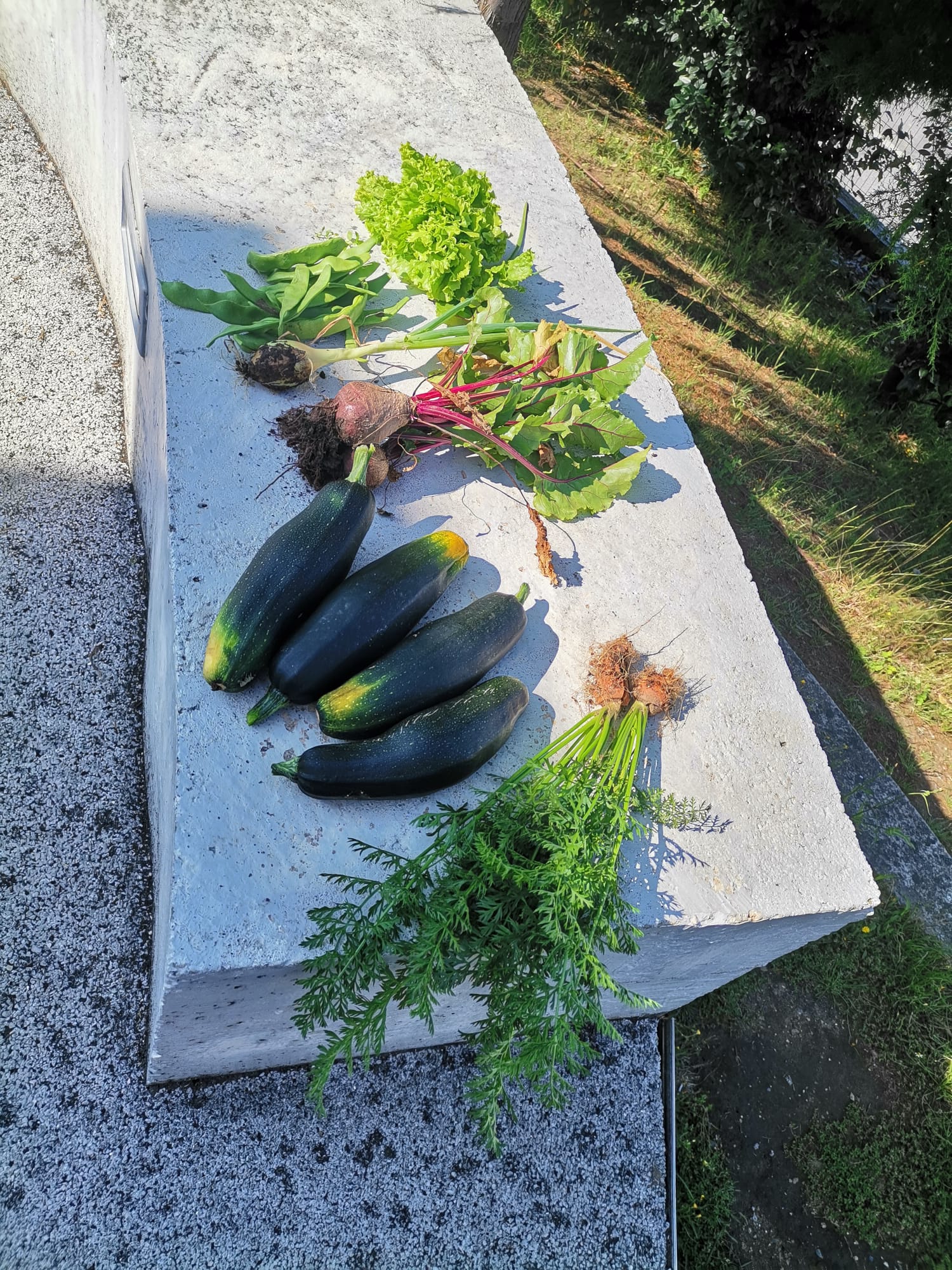 Produtos da Horta