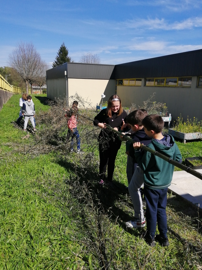 Construção de cabana indiana na horta - preparação pelos alunos de canas de bambu.