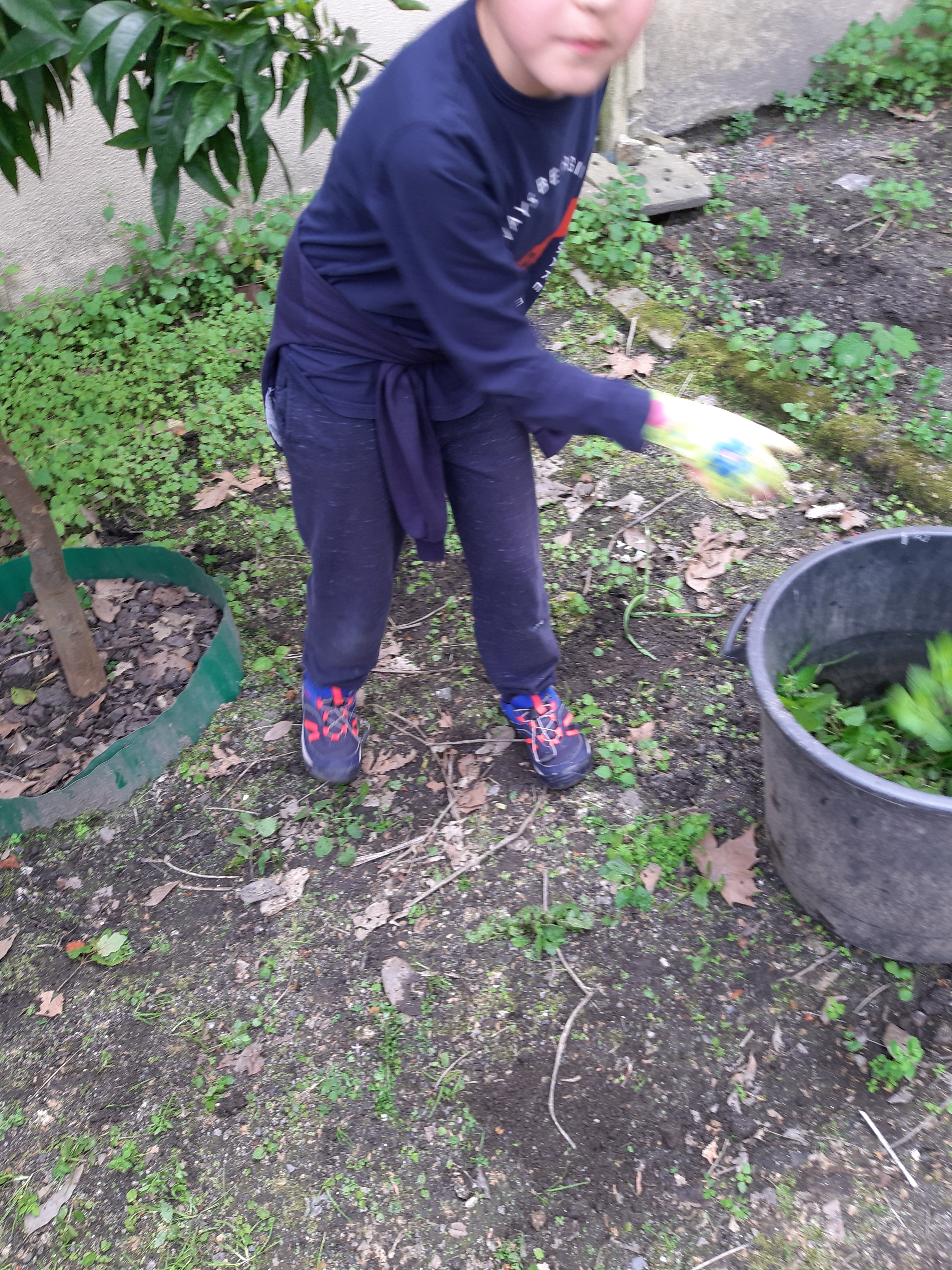 Limpeza da horta de ervas daninhas