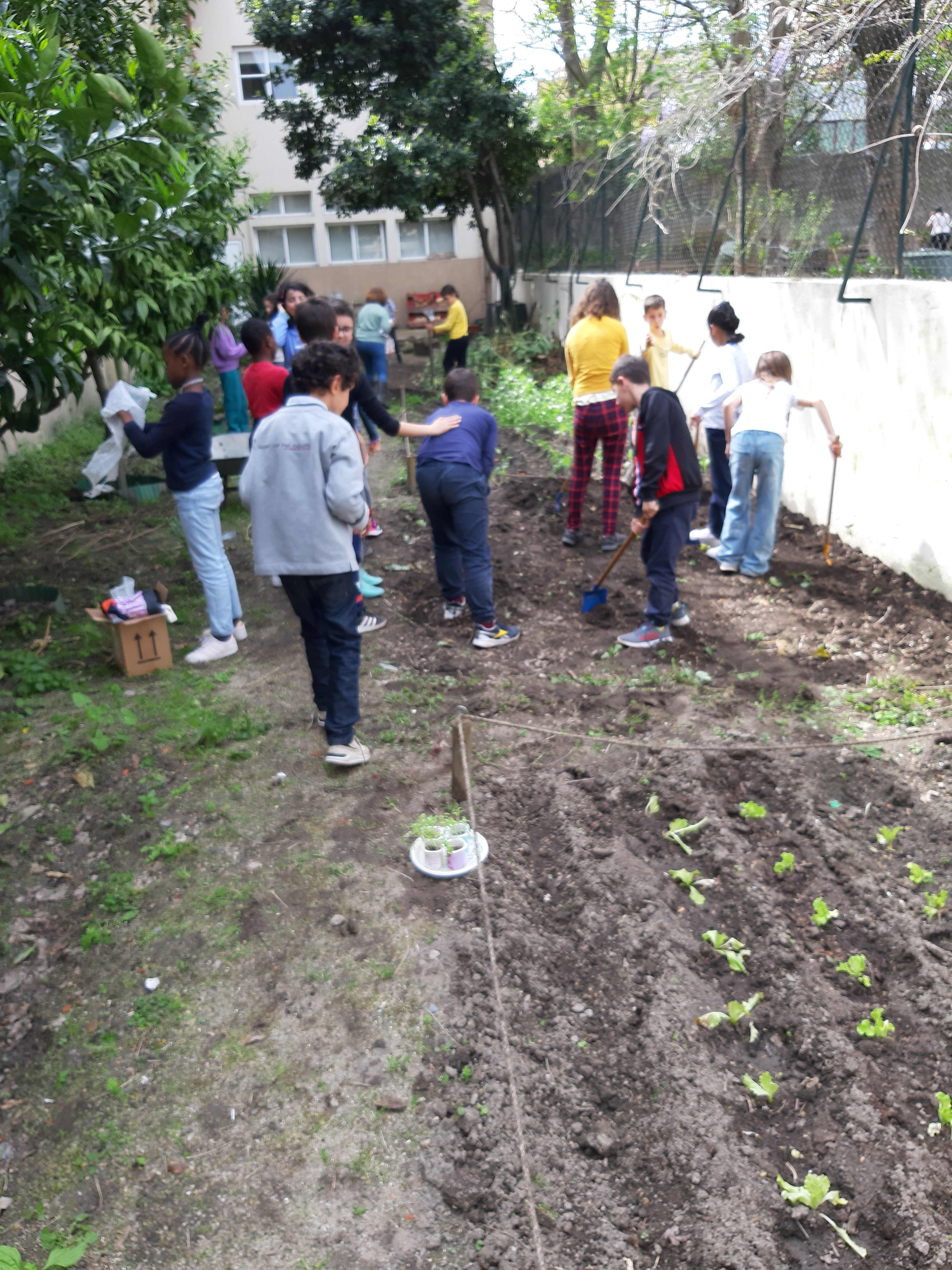 Limpeza da horta de ervas daninhas