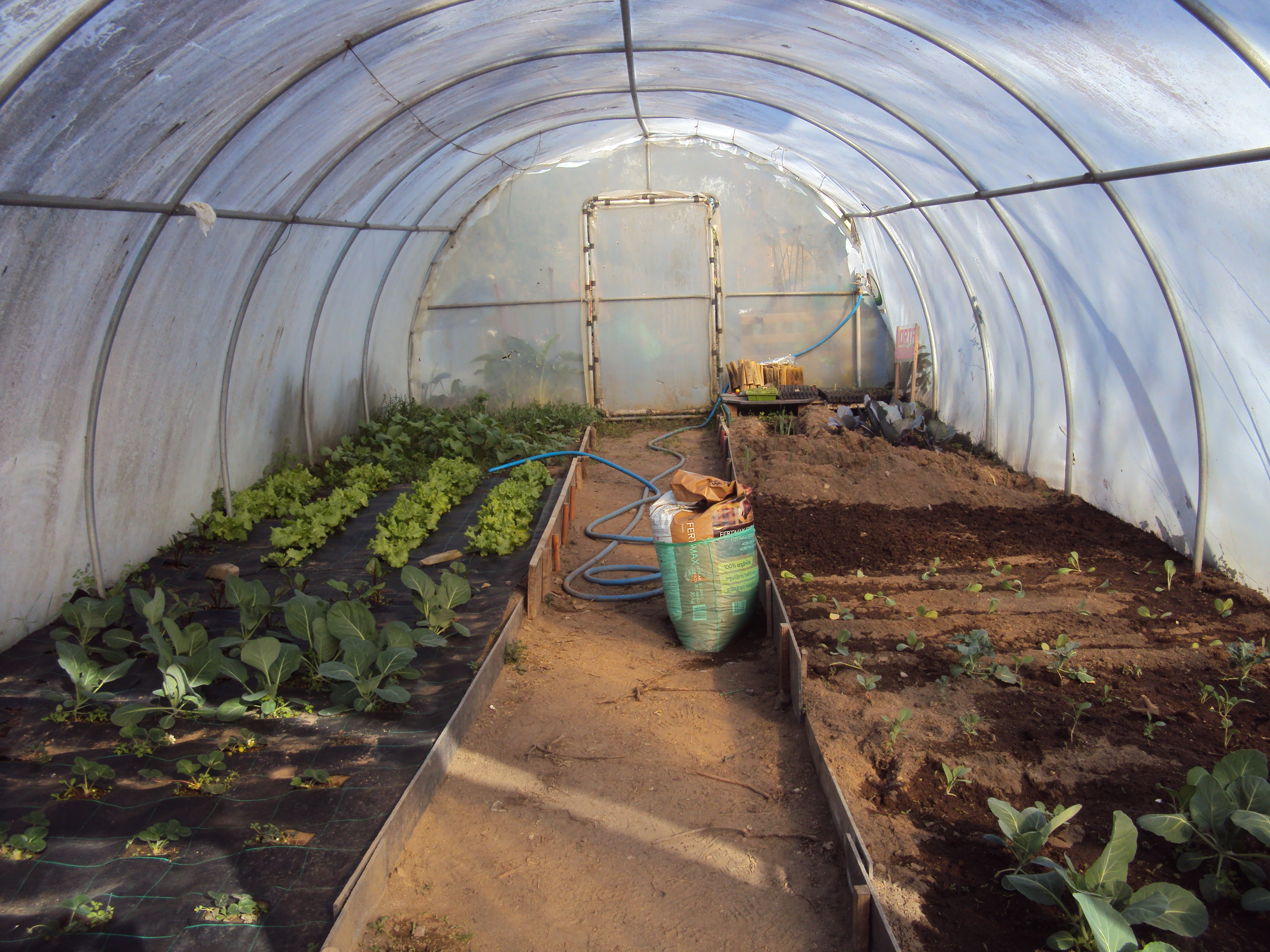 Visão global da Horta Bio. Do lado direito há morangueiros, couve-coração; beterraba; alface; rabanetes, rúcula. Do lado direito há couve-coração; saboia, penca da Póvoa, brócolos, couve híbrida, couve roxa, salsa, Alho francês – início do mês de março.