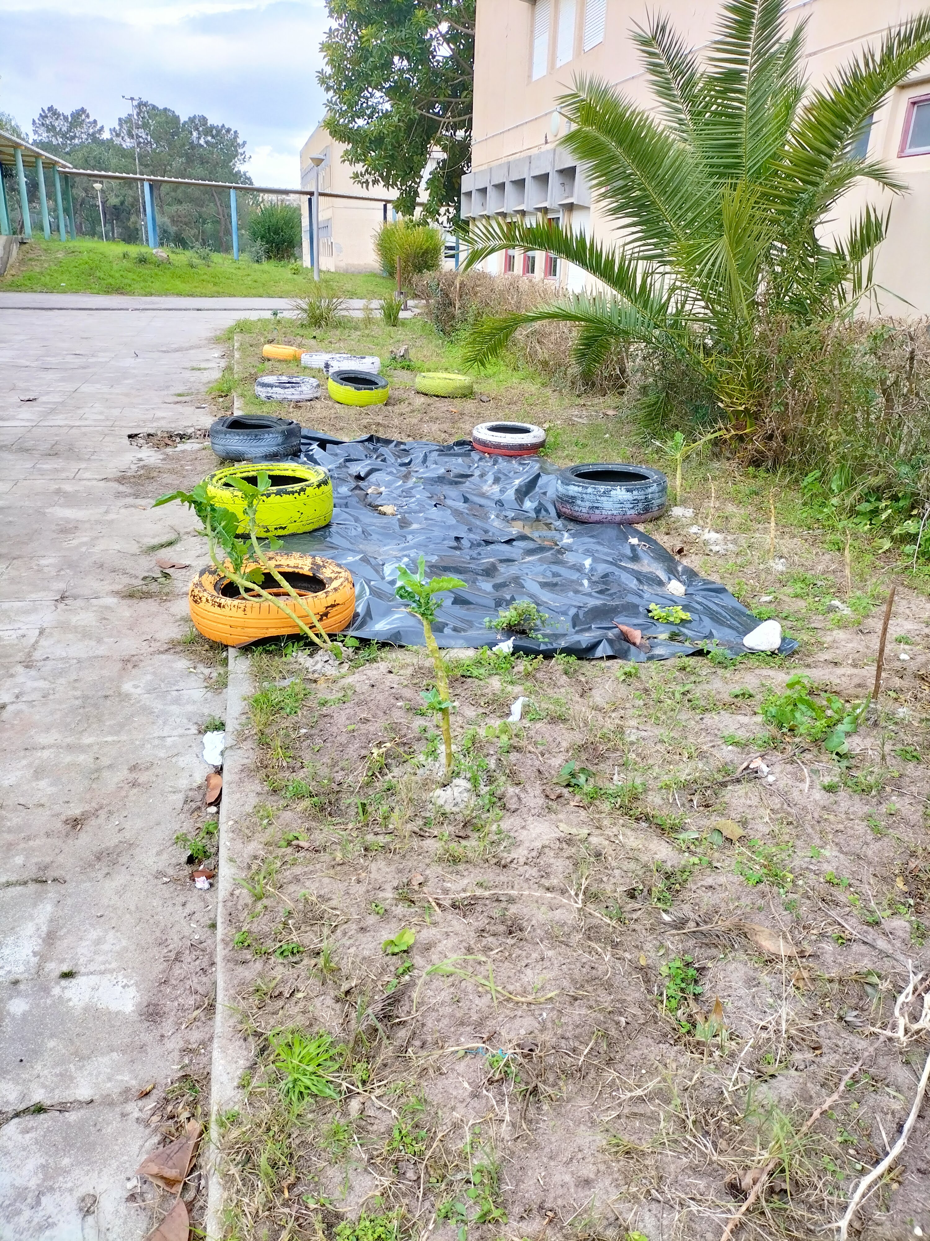 Horta 1 Bloco C