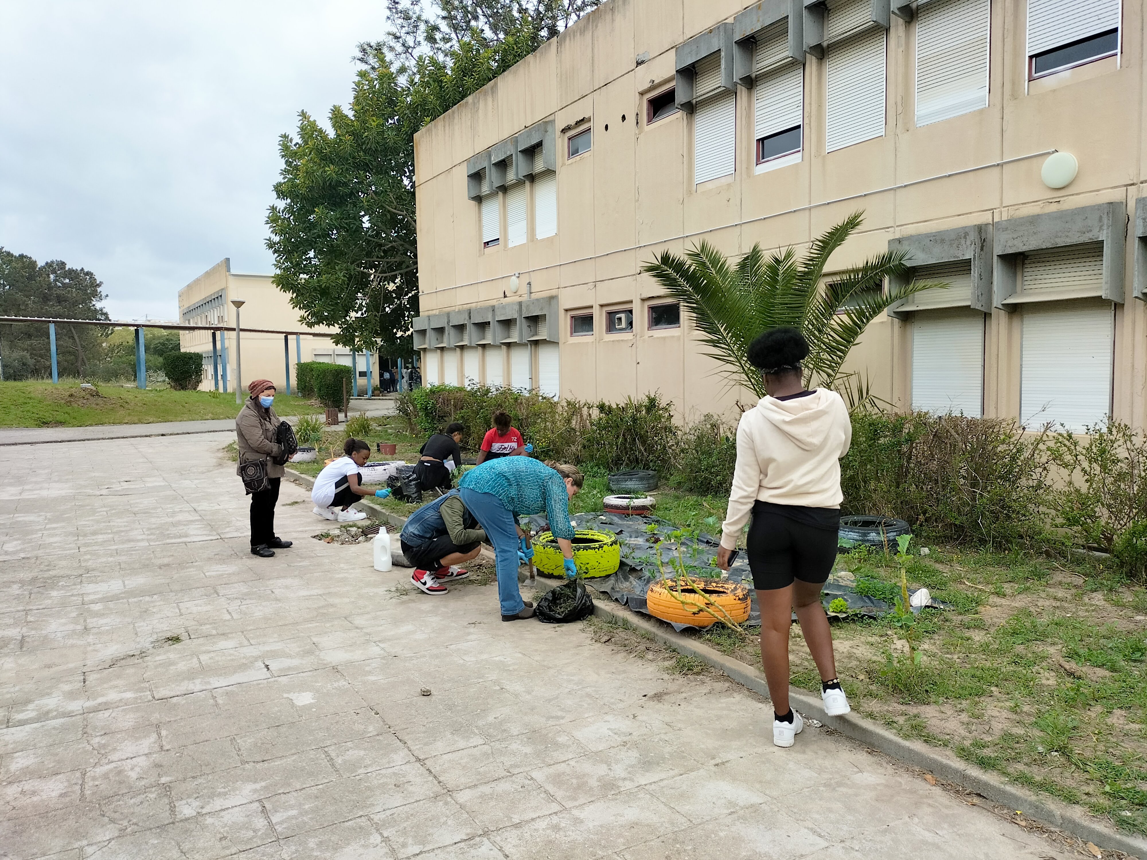 Horta 1 Bloco C