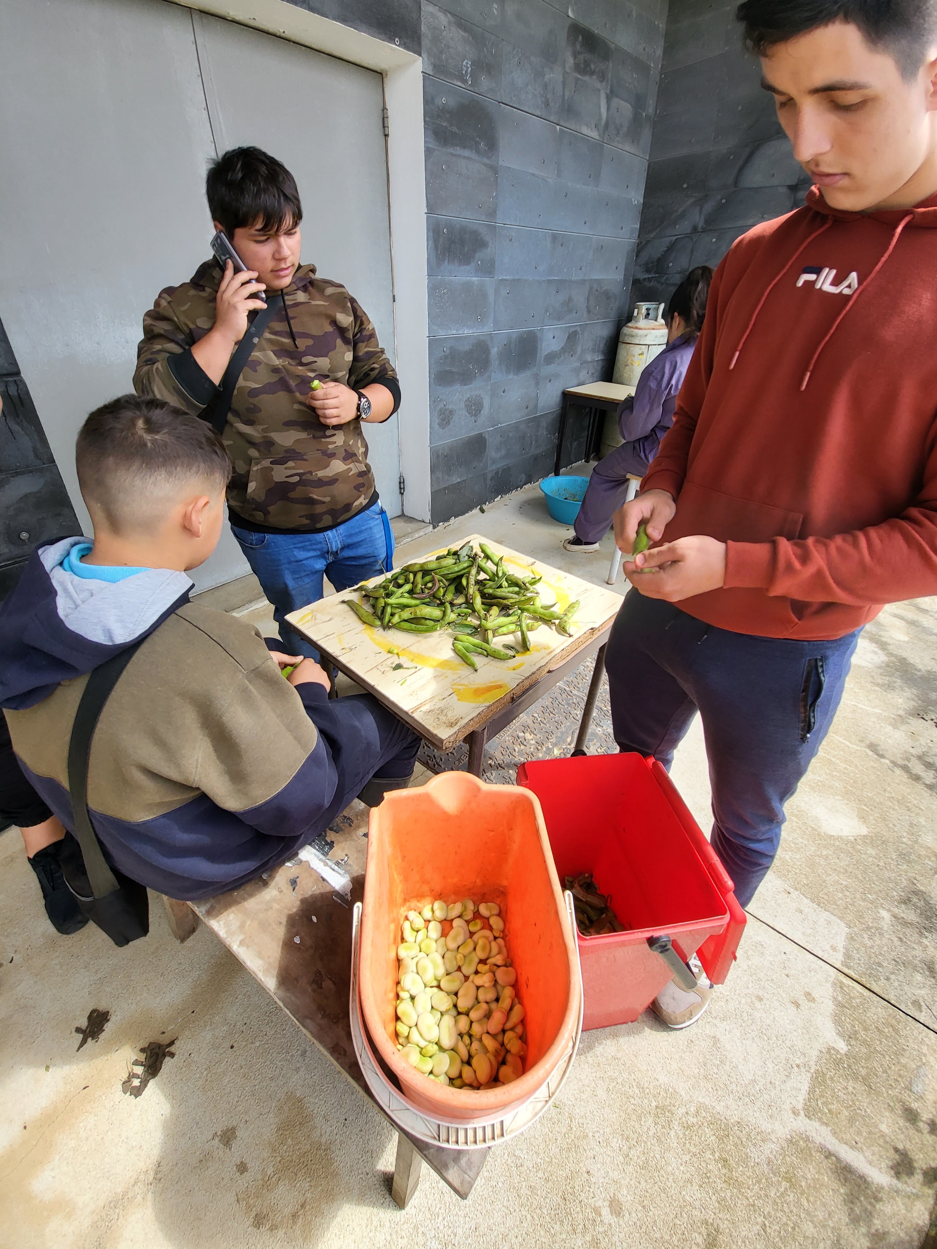 Preparação dos produtos para a venda no mercado da escola.