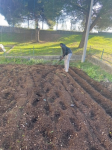 preparação de terreno para plantação