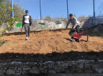 preparação de terreno para plantação