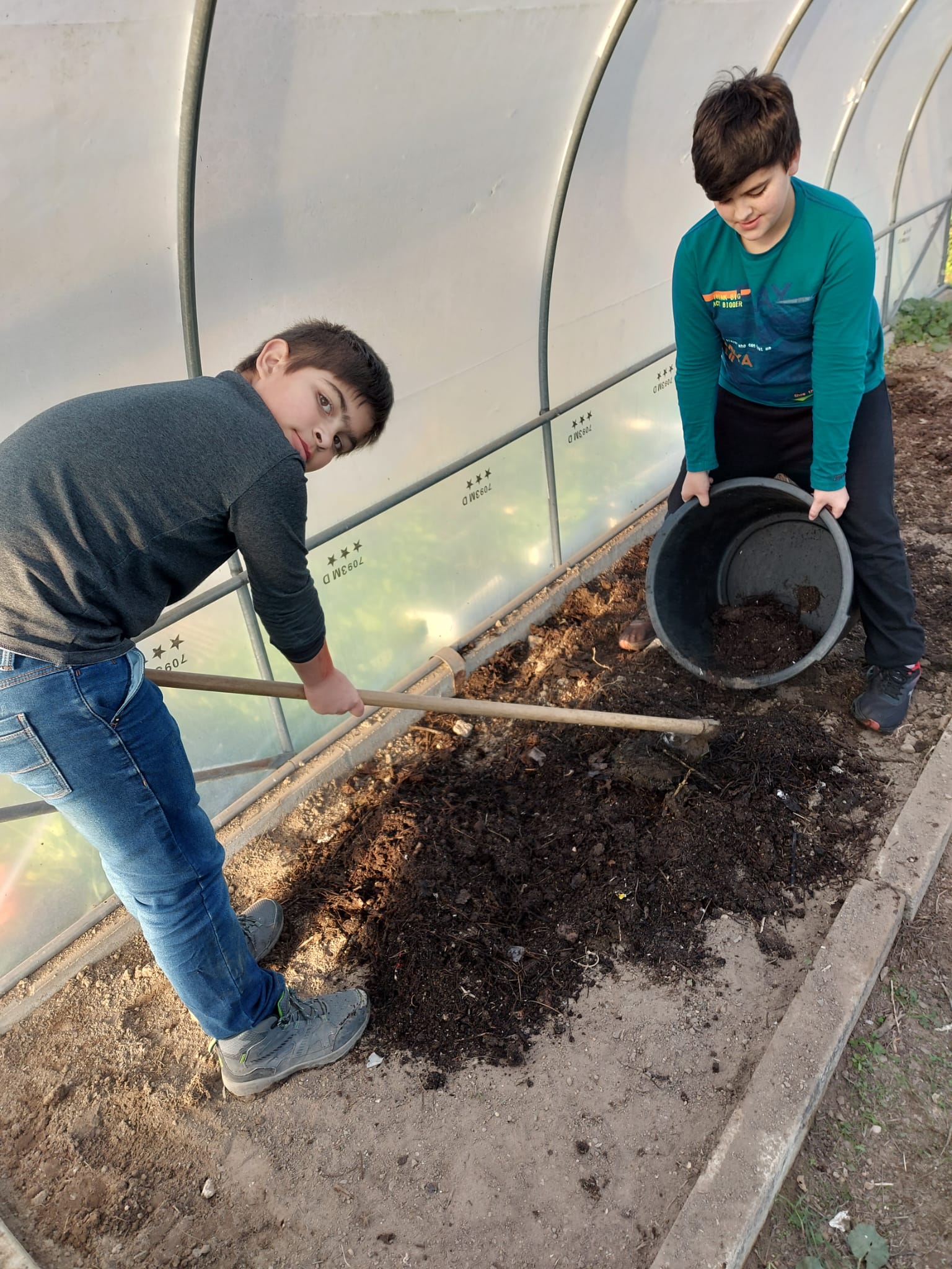 A colocar composto na estufa, e a preparar as sementeiras.
