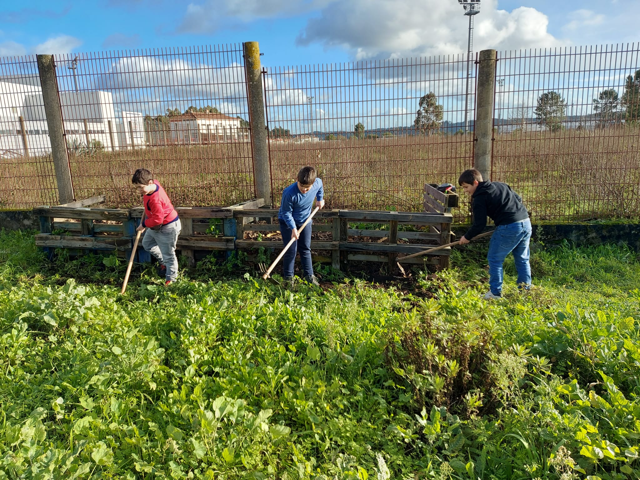 Preparação do terreno para a horta.