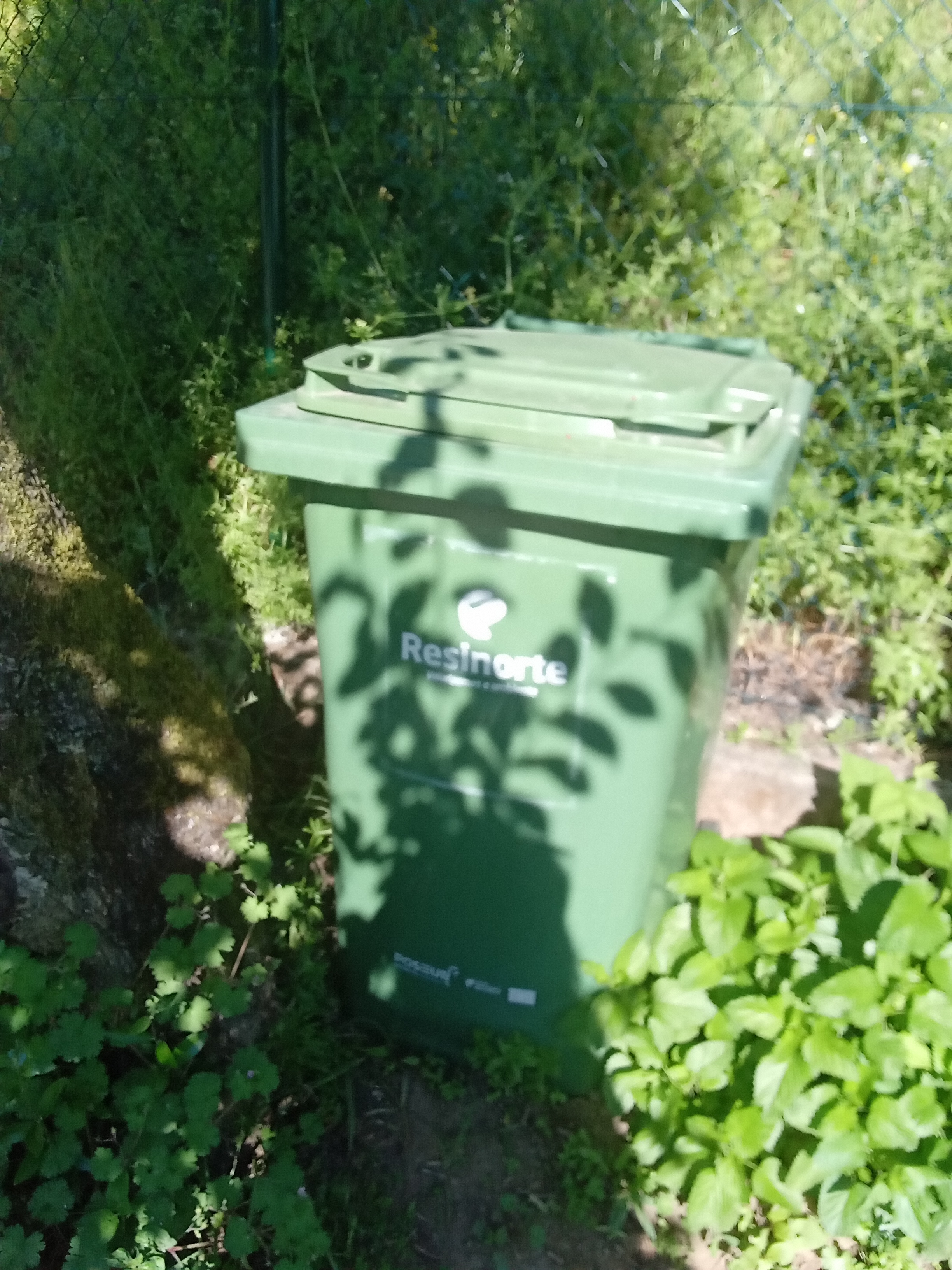 Recolha de águas pluviais