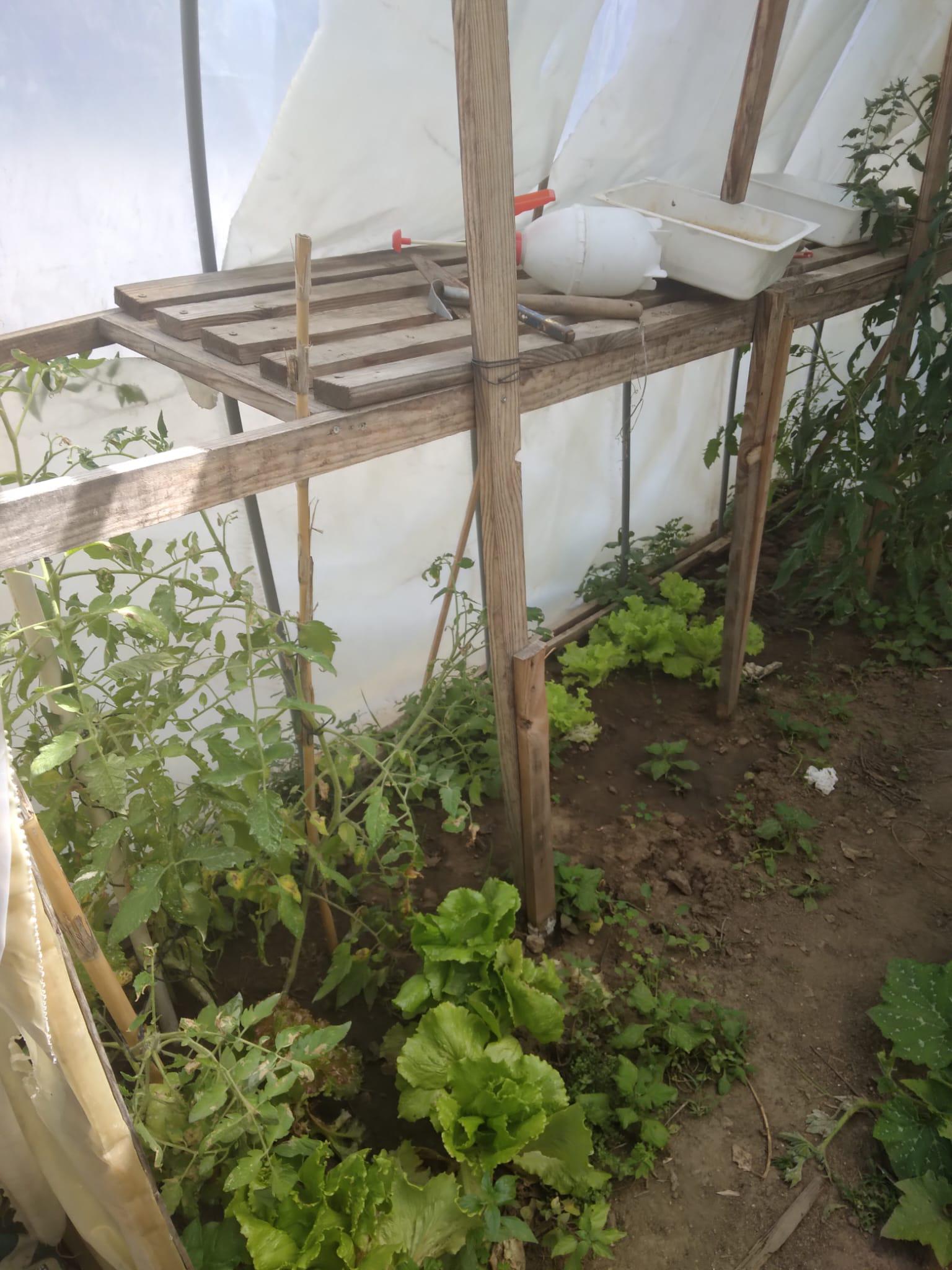 Estufa