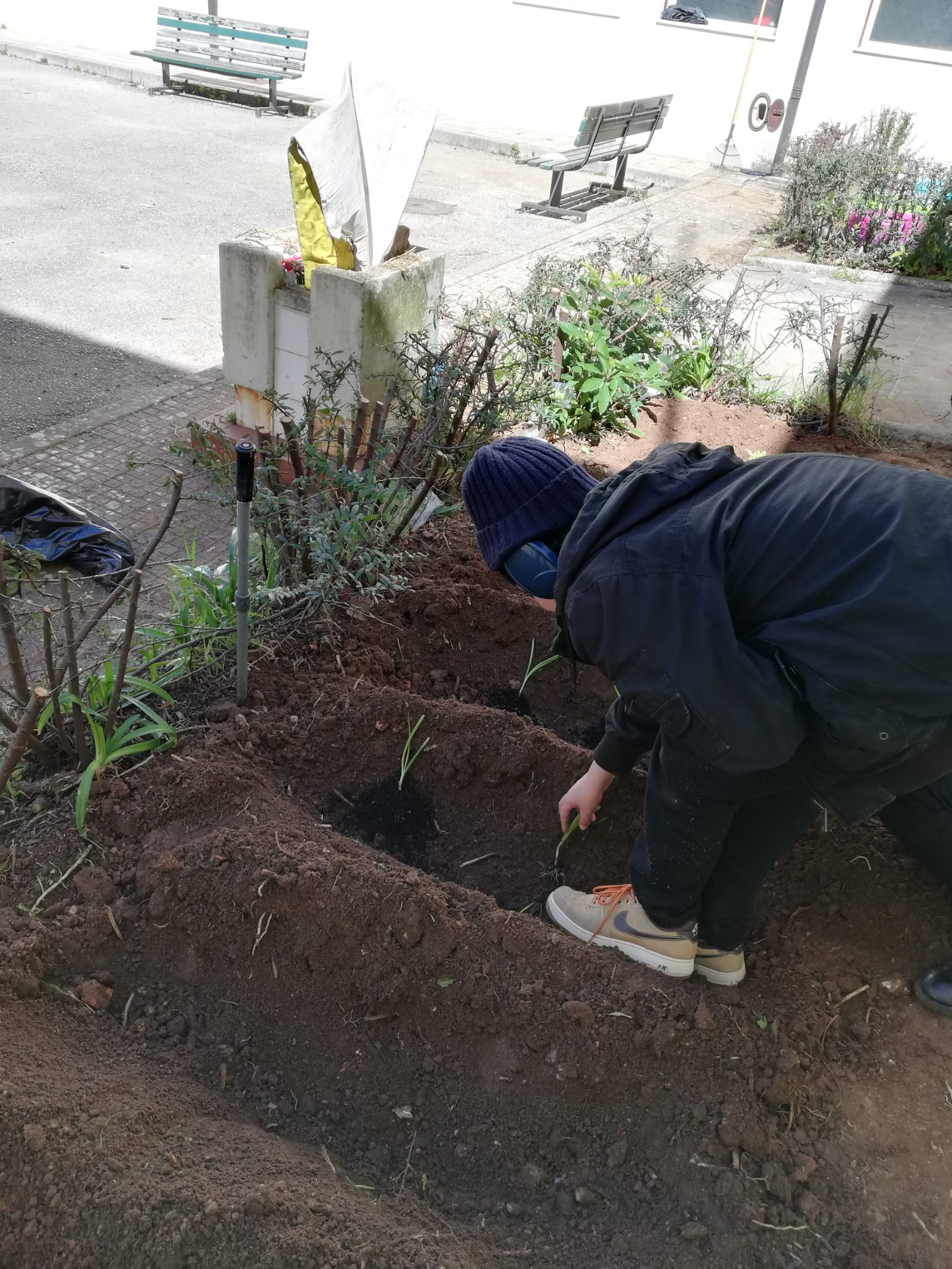 Plantação de horta pedagógica por aluno da Unidade.