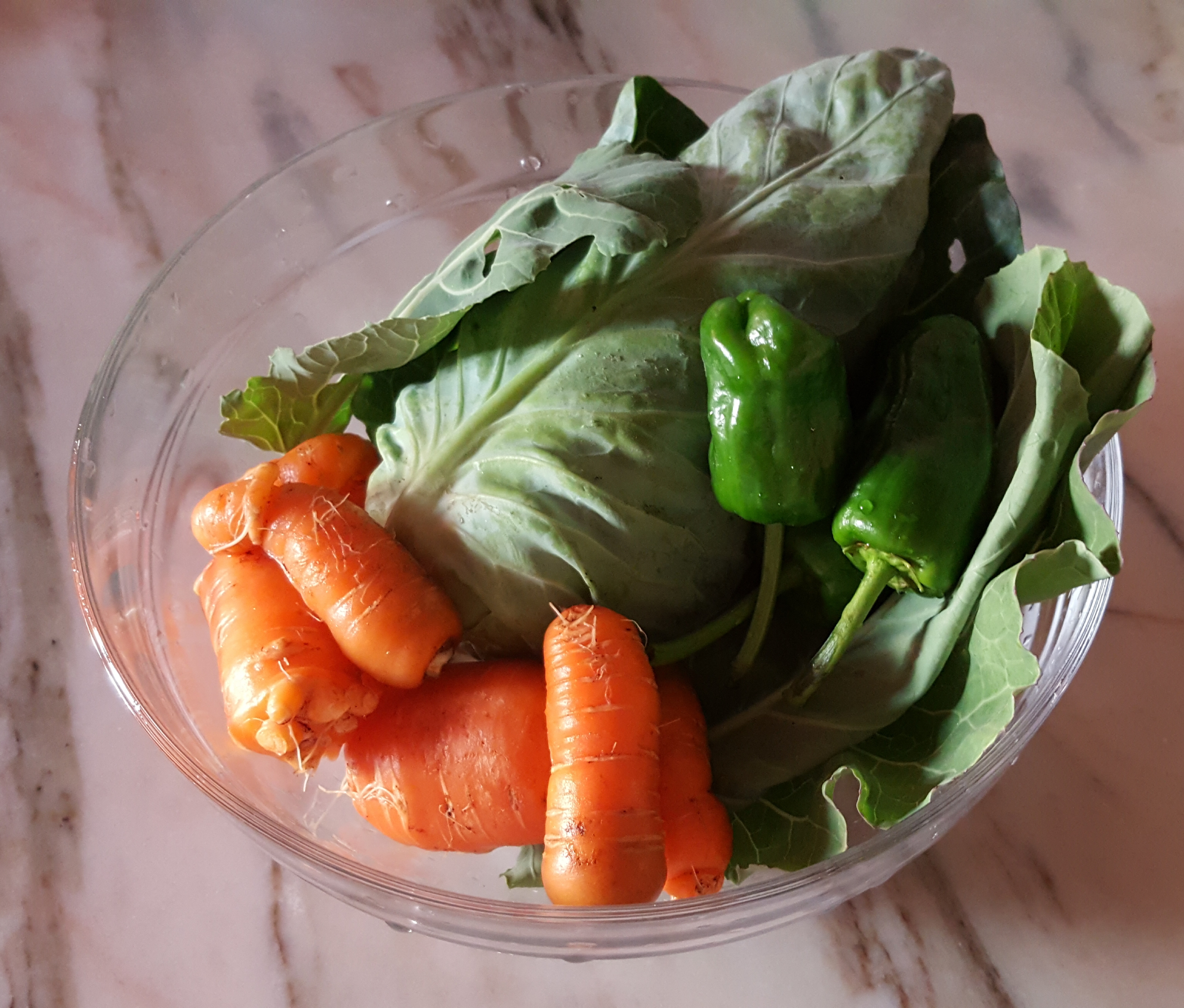 recolha de legumes - com alguns deles, à exceção dos pinhões e dos pimentos fez-se uma sopa para os alunos do 1.º ano de escolaridade (7 alunos)
