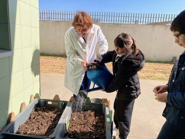 Humedecer a terra para as sementes germinarem.