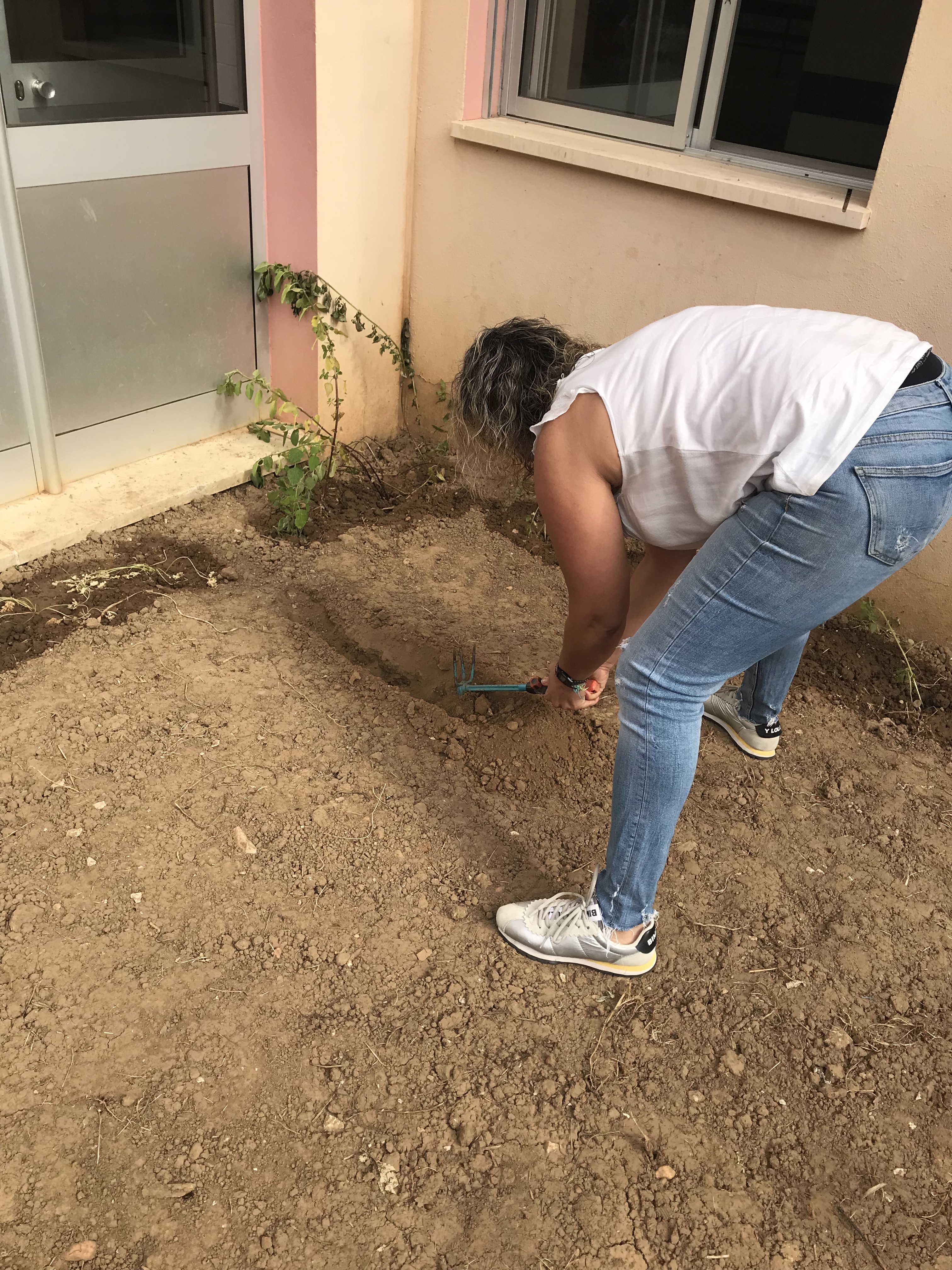 Preparação do terreno da horta.