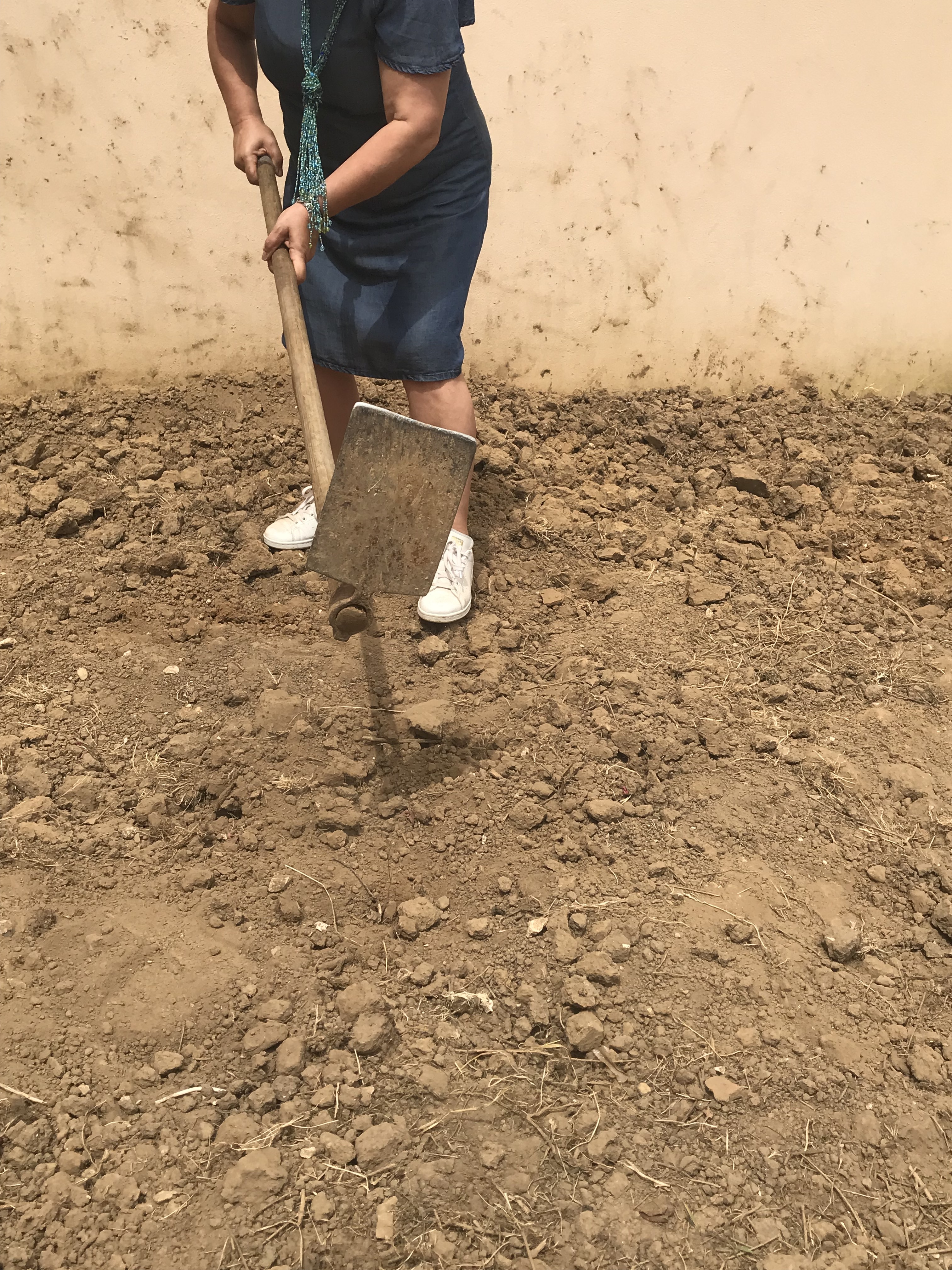 Preparação do terreno I
